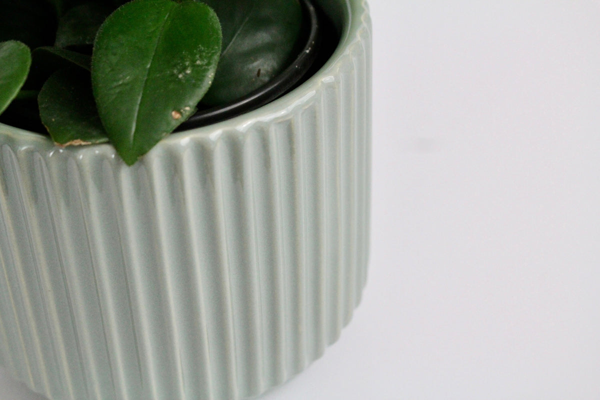 sage green indoor plant pot Fluted Sage Green Ribbed Indoor Planter Pot with Reactive Glaze – SPROUT &  ABOUT