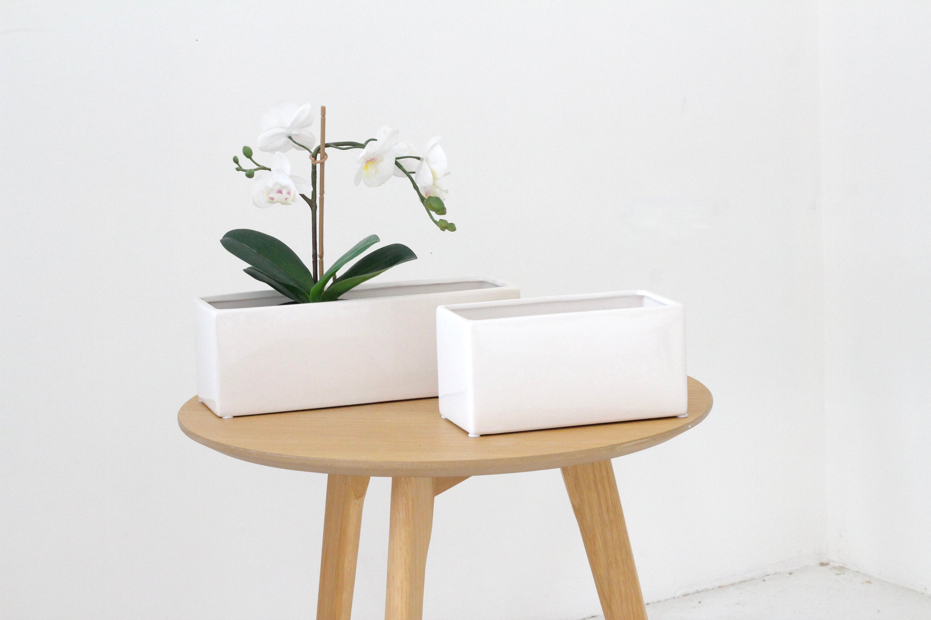 White Ceramic Rectangular Planter Box Indoor