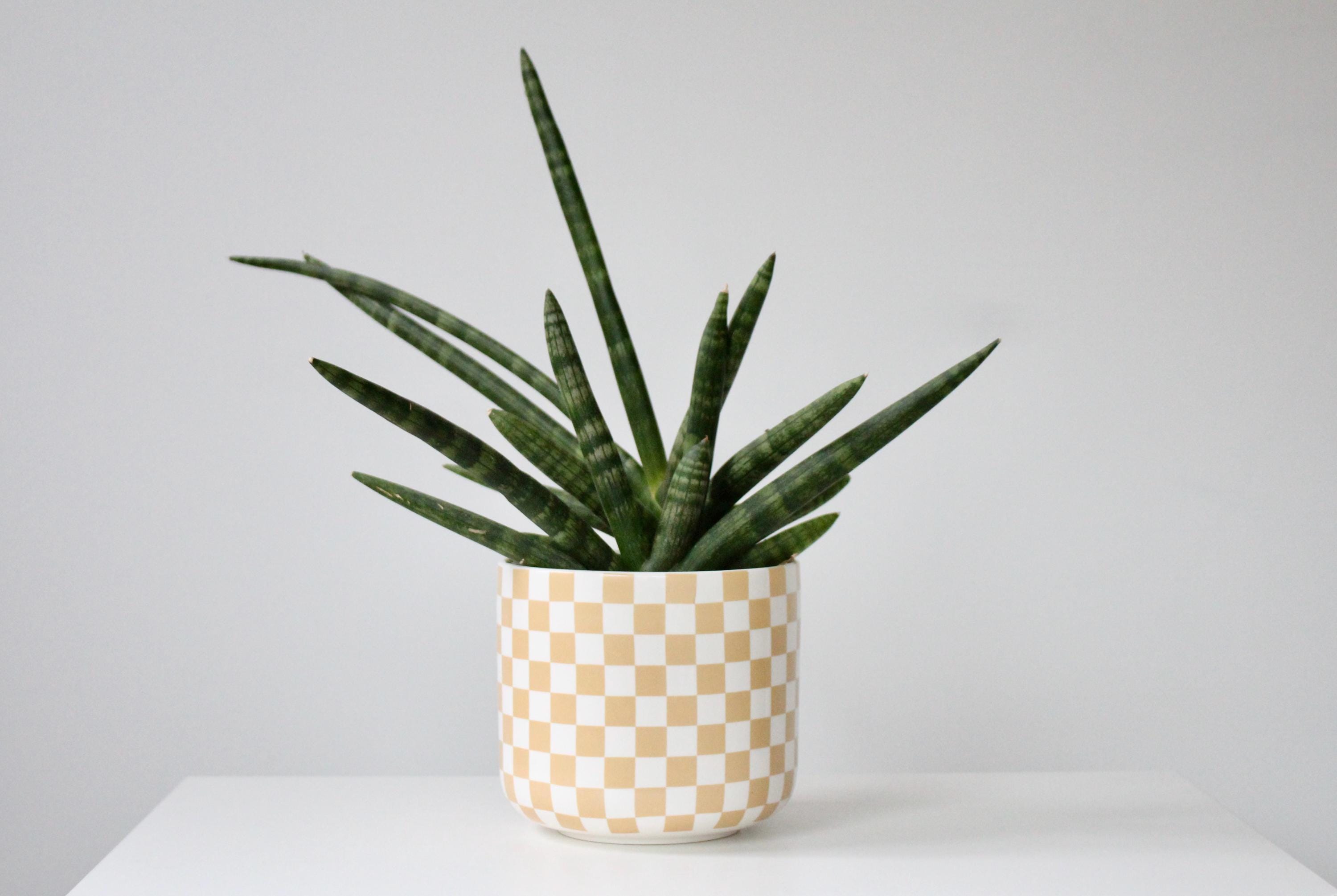 Large Checkered Ceramic Planter with Two Tone Glaze in Beige and White