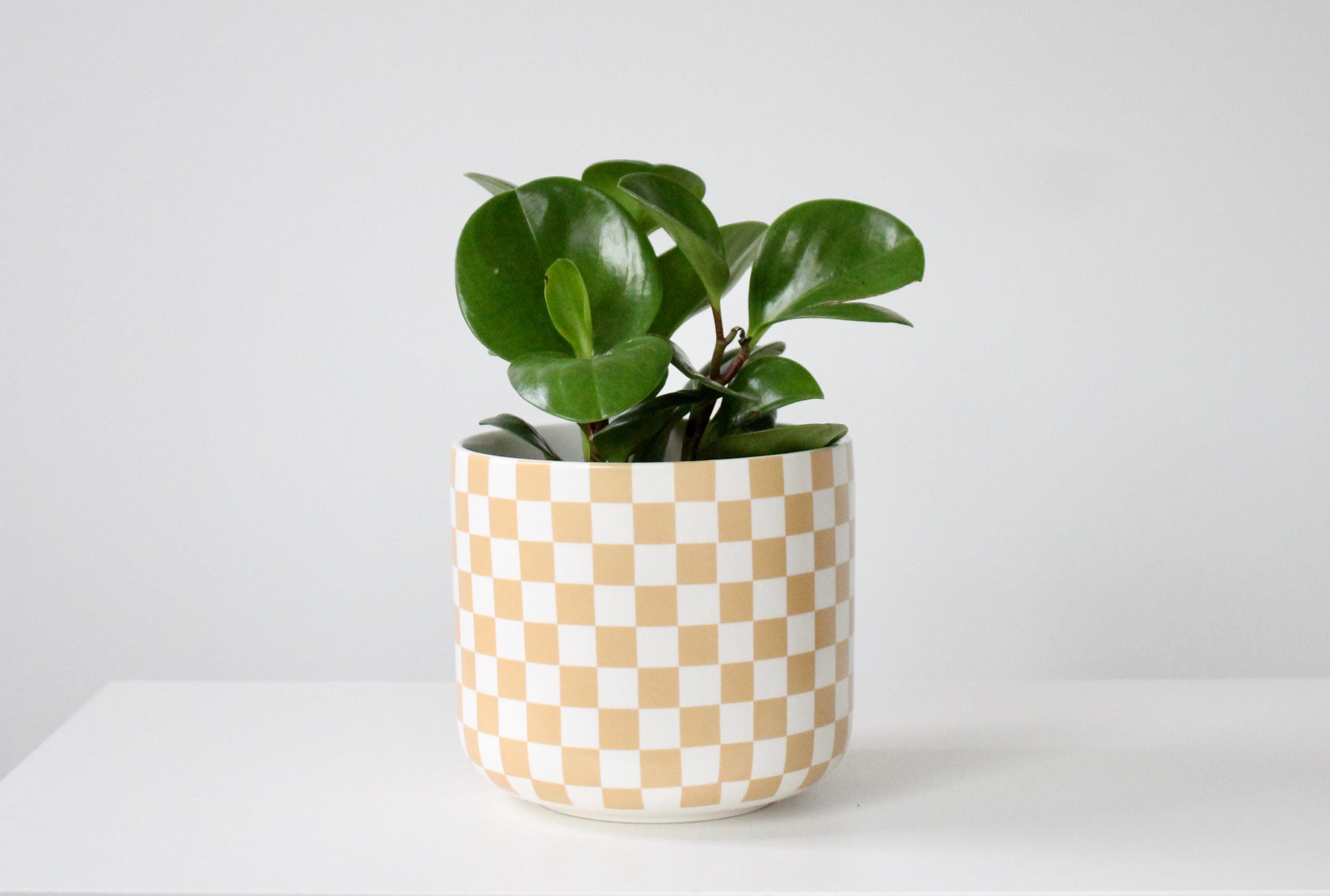Large Checkered Ceramic Planter with Two Tone Glaze in Beige and White