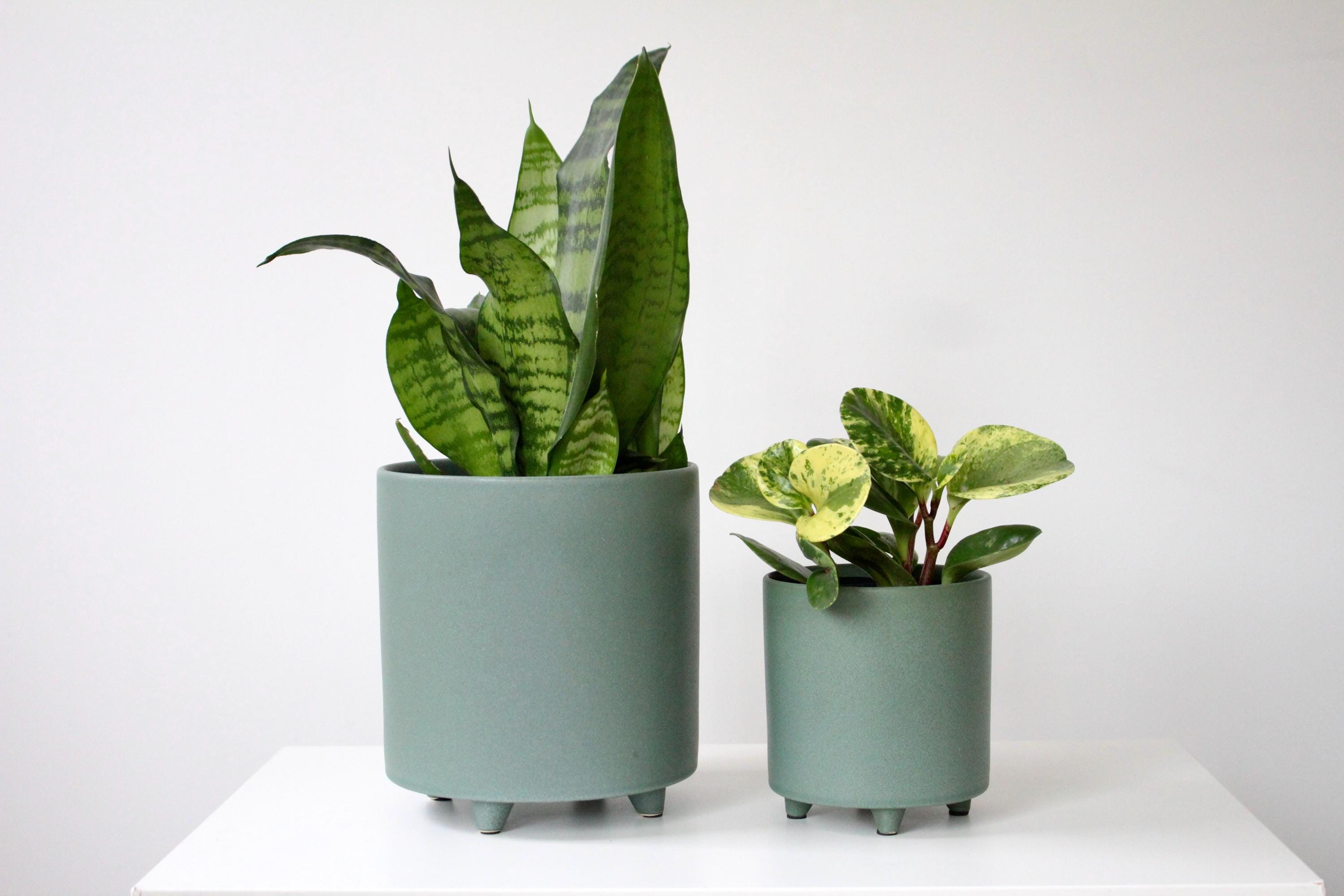 Emerald Green Ceramic Footed Plant Pot | Cute Unique Flower Pot | Green Modern Planter | Succulent Planter