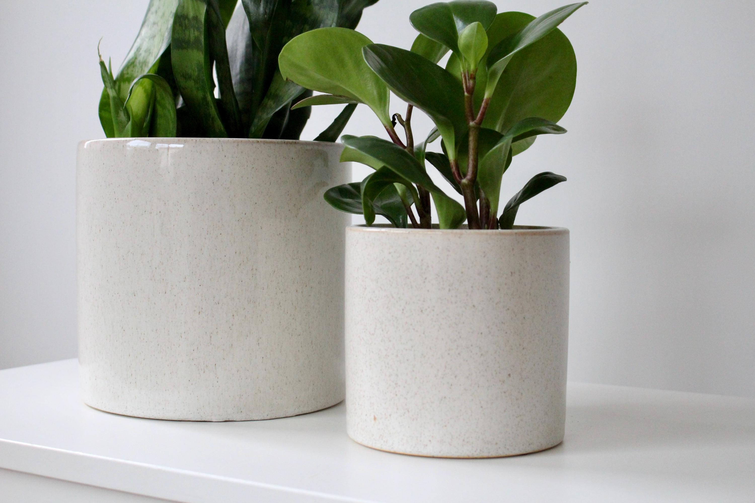 Speckled Minimalist Ceramic Plant Pot | Aesthetic Beige Succulent Planter | Boho Plant Decor