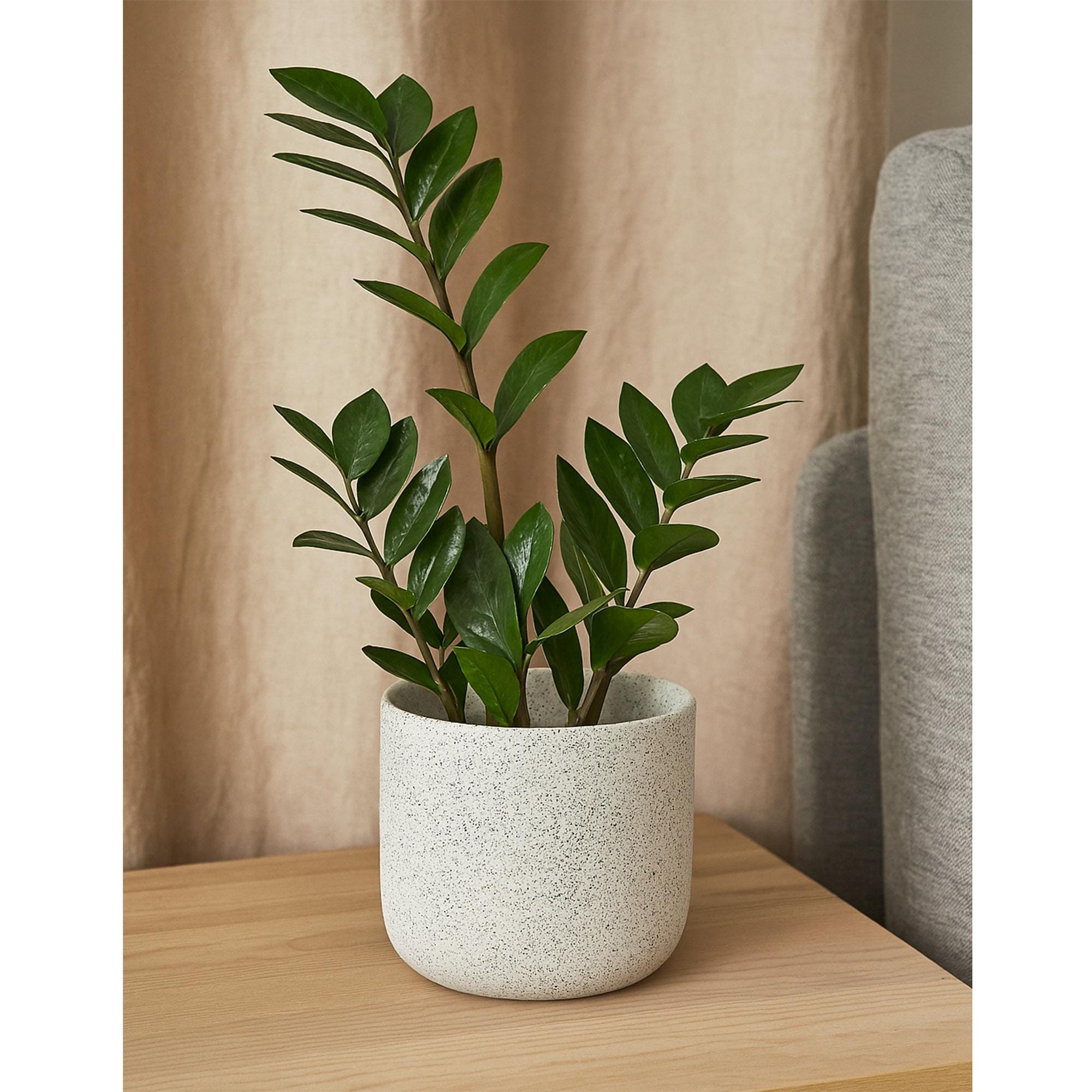 White Speckled Ceramic Planter | Modern Handmade Original Pot | Neutral Textured Indoor Plant Decor