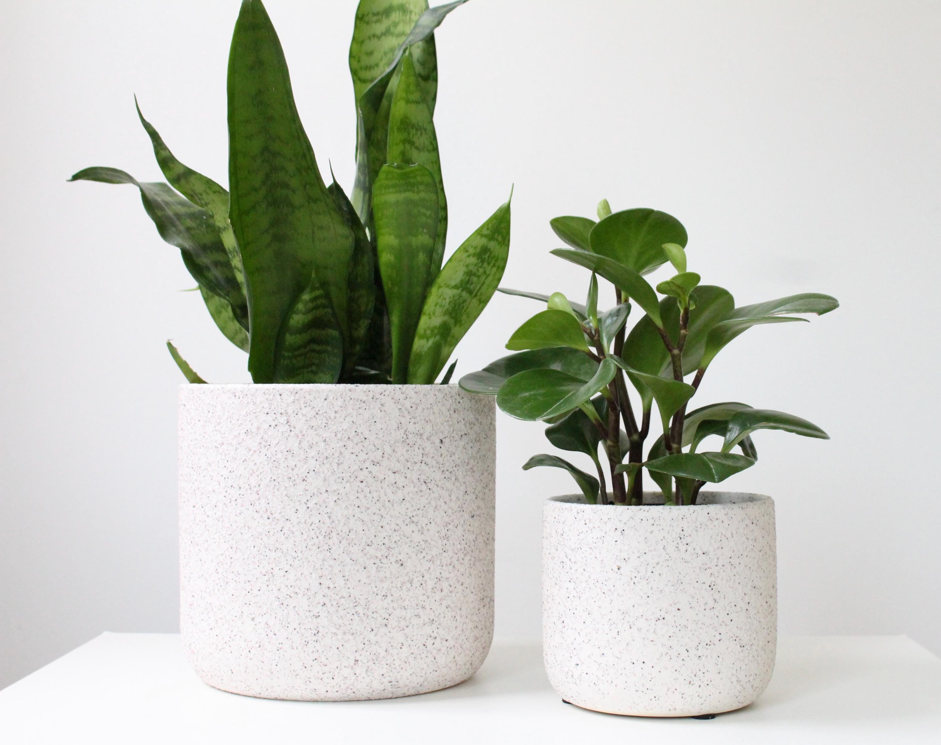 White Speckled Ceramic Planter | Modern Handmade Original Pot | Neutral Textured Indoor Plant Decor