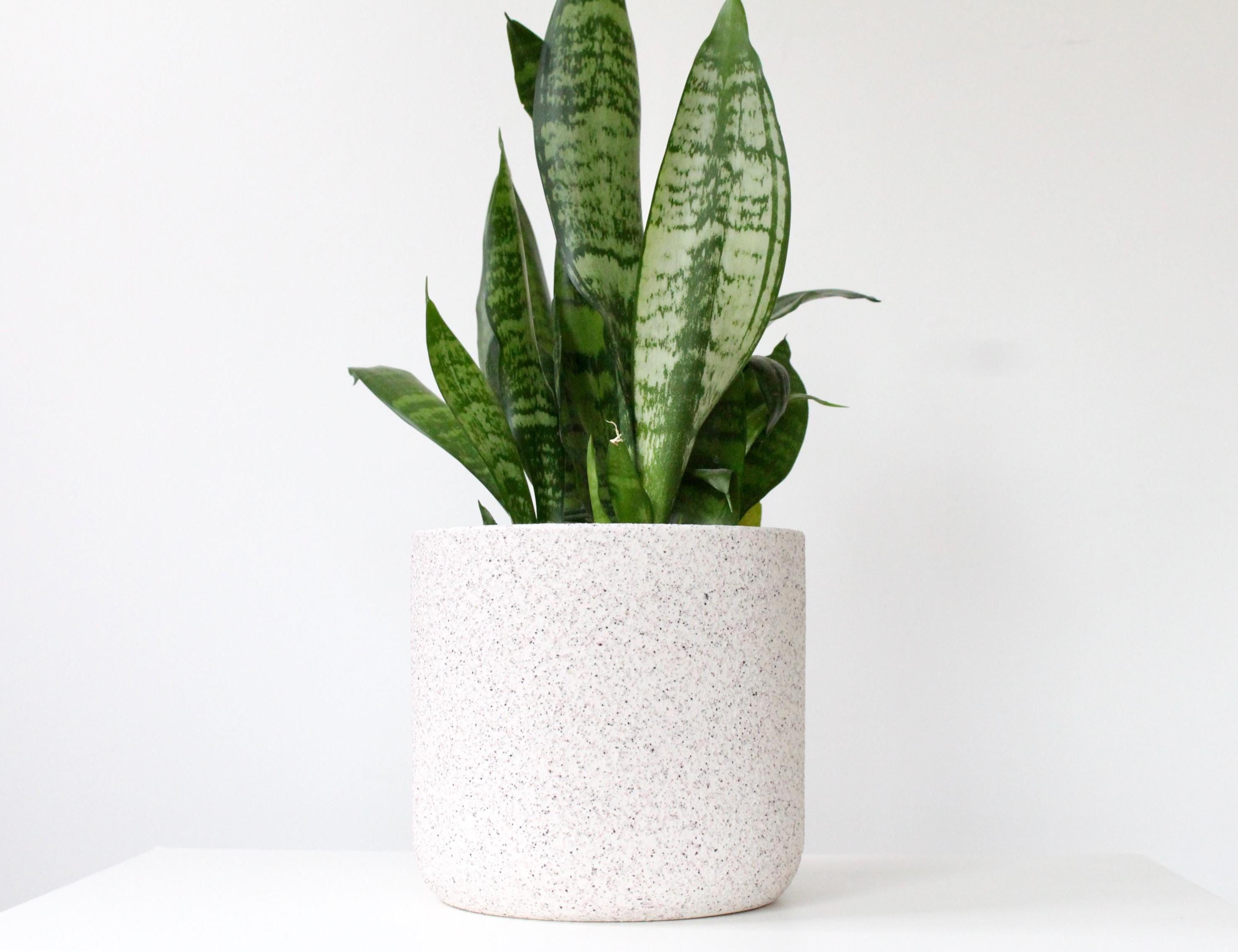 White Speckled Ceramic Planter | Modern Handmade Original Pot | Neutral Textured Indoor Plant Decor