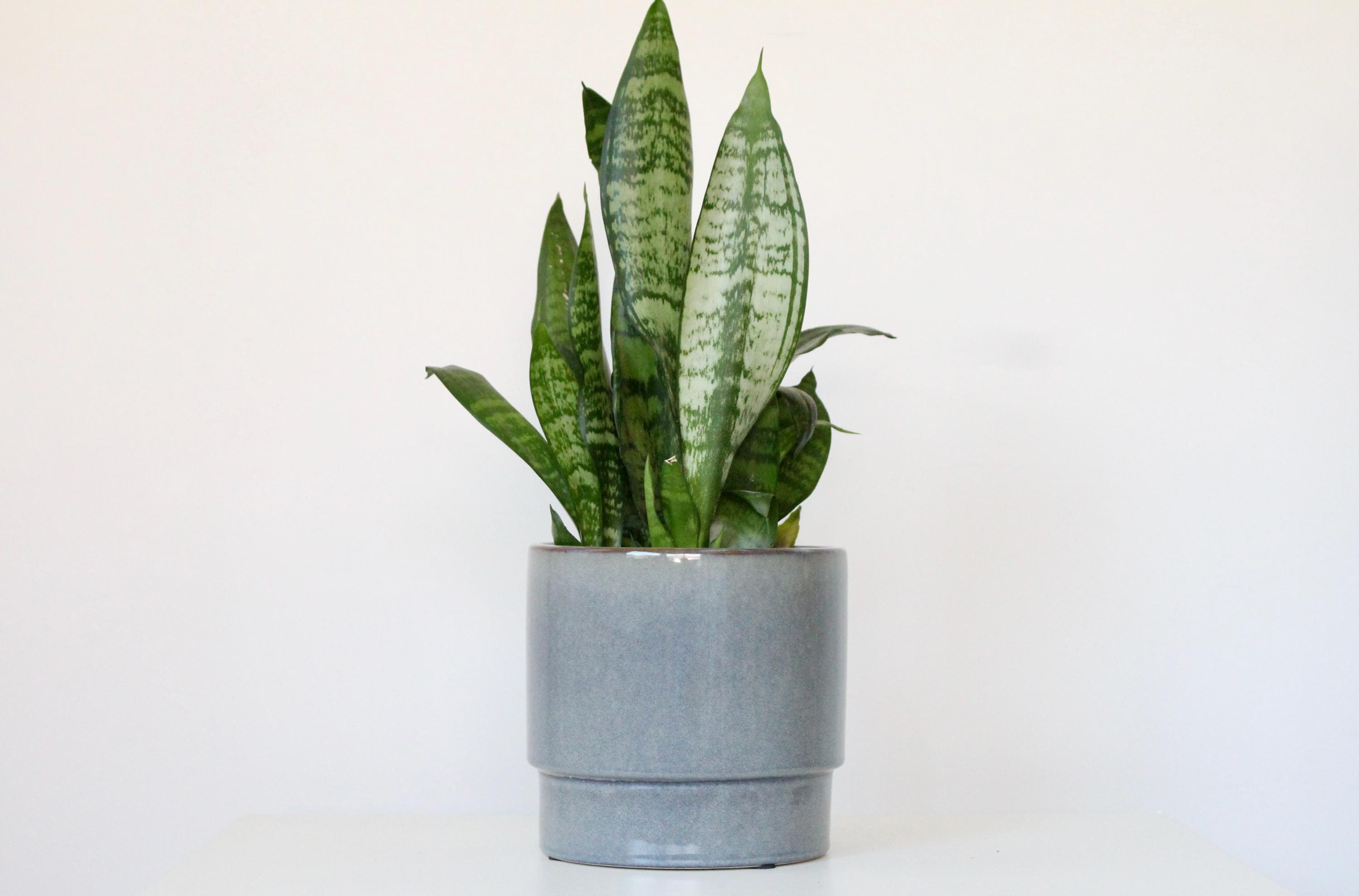 Modern Grey Blue Ceramic Planter | Glossy Indoor Pot for Houseplants, Succulents, or Shelf Decor