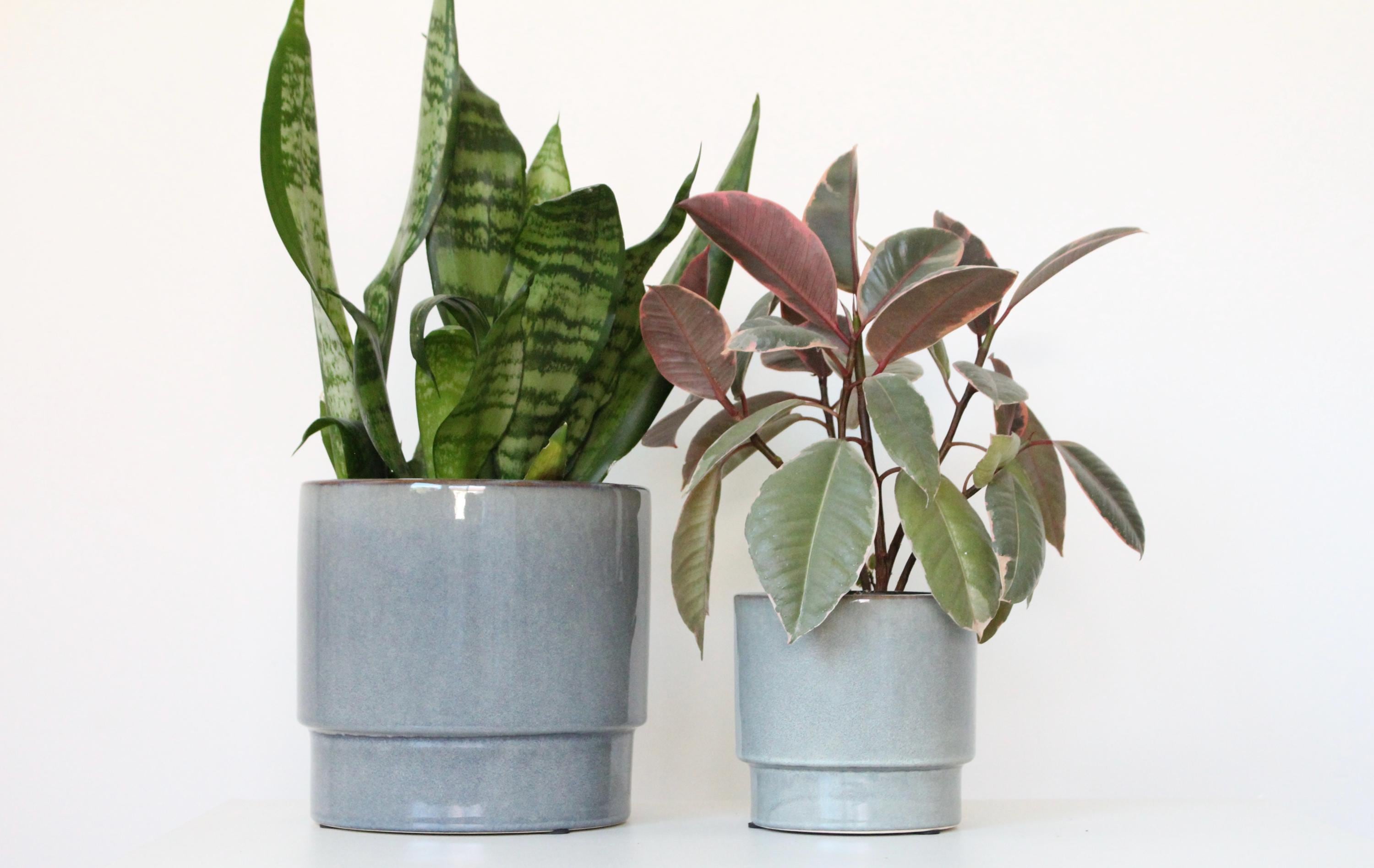 Modern Grey Blue Ceramic Planter | Glossy Indoor Pot for Houseplants, Succulents, or Shelf Decor