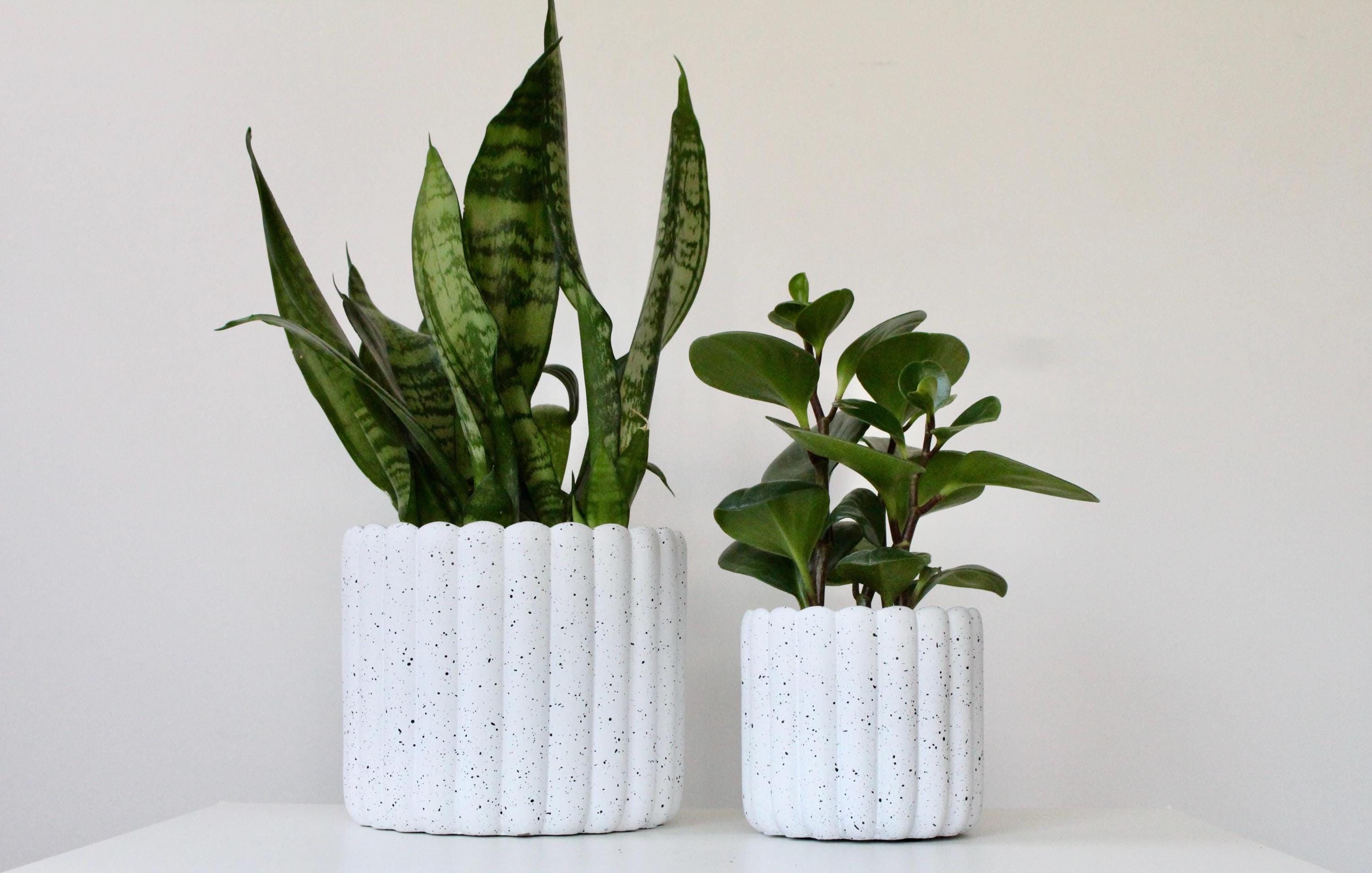 Scalloped Cement Planter | White Speckled Modern Pot for Indoor Plants, Boho Minimalist Home Decor