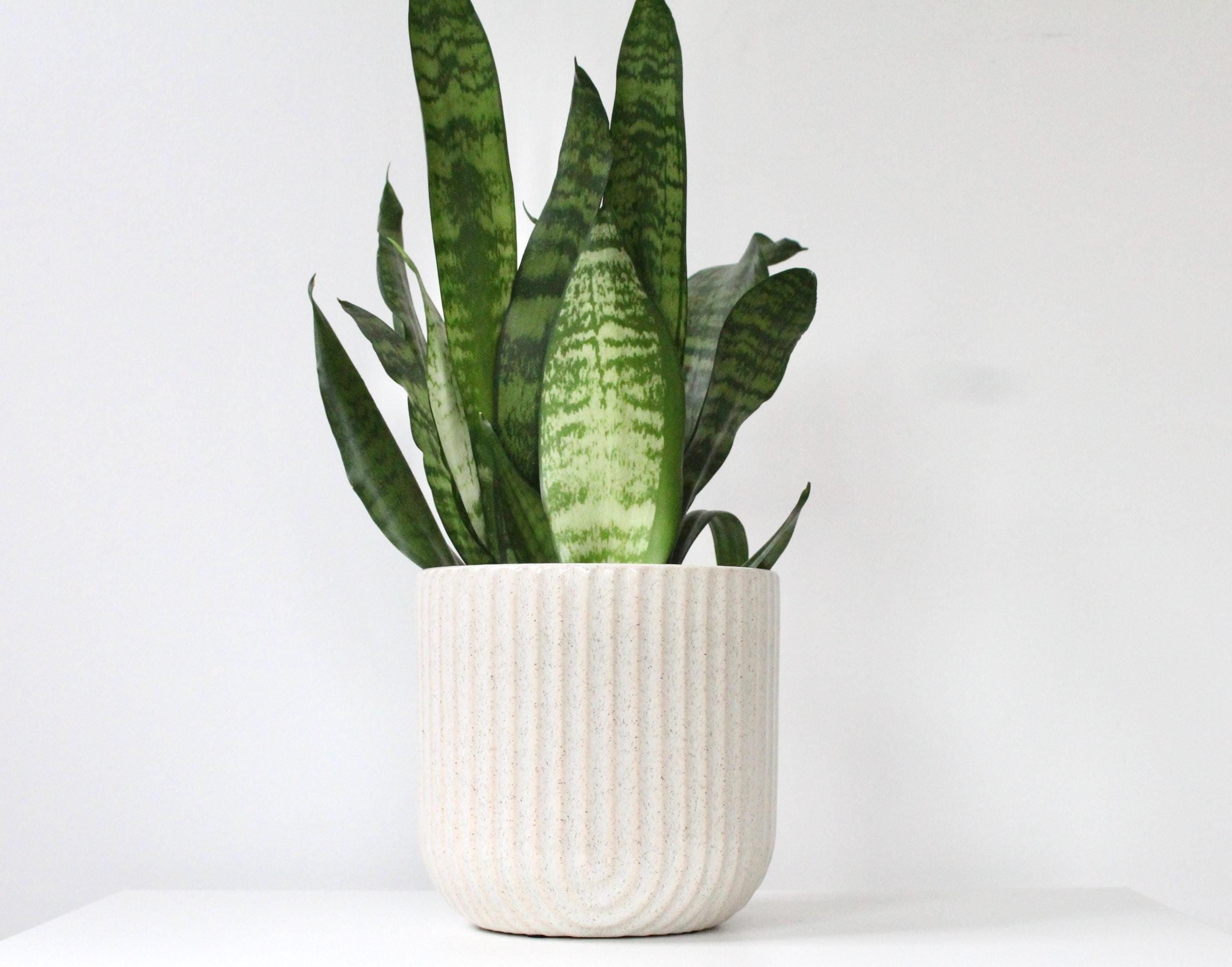 Ribbed Arch Speckled Ceramic Flower Vase | Beige Scallop Planter | Rounded Indoor Pot with Modern Texture