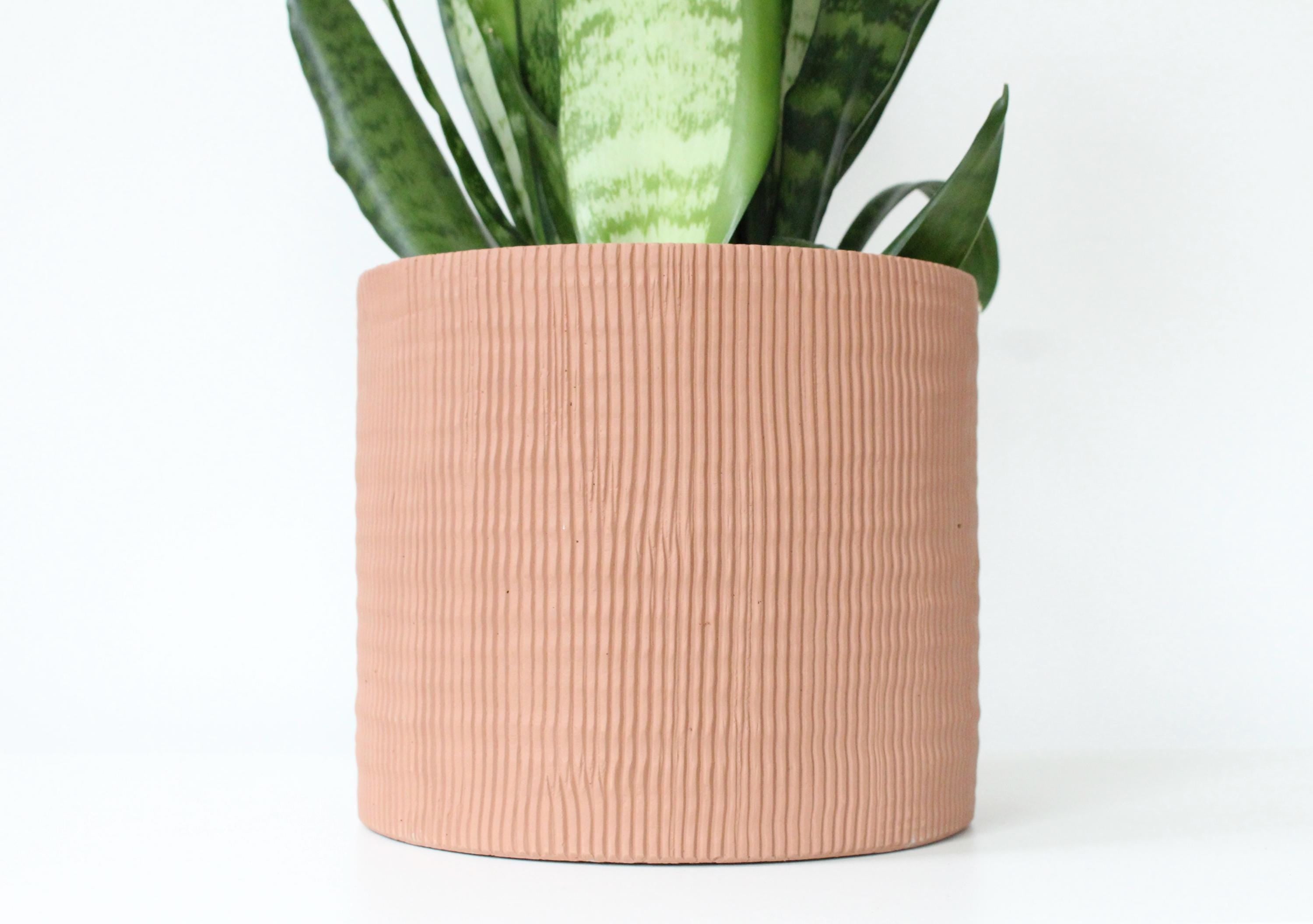 Terracotta Cement Planter | Modern Textured Indoor Plant Pot, Rustic Home or Office Decor