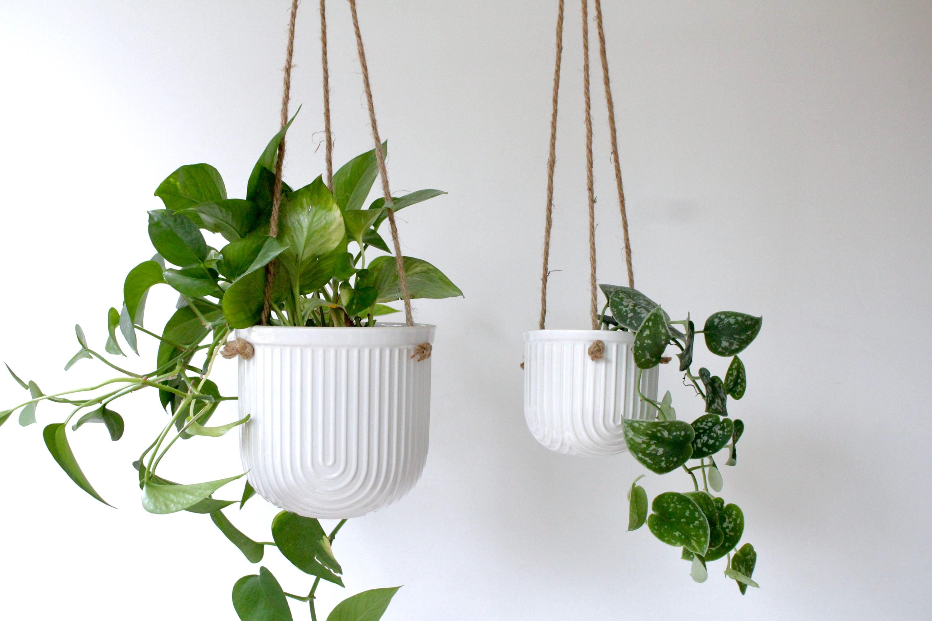 Arch White Hanging Ceramic Planter | Ribbed Indoor Plant Pot with Jute Rope | Modern Vertical Wall Vase