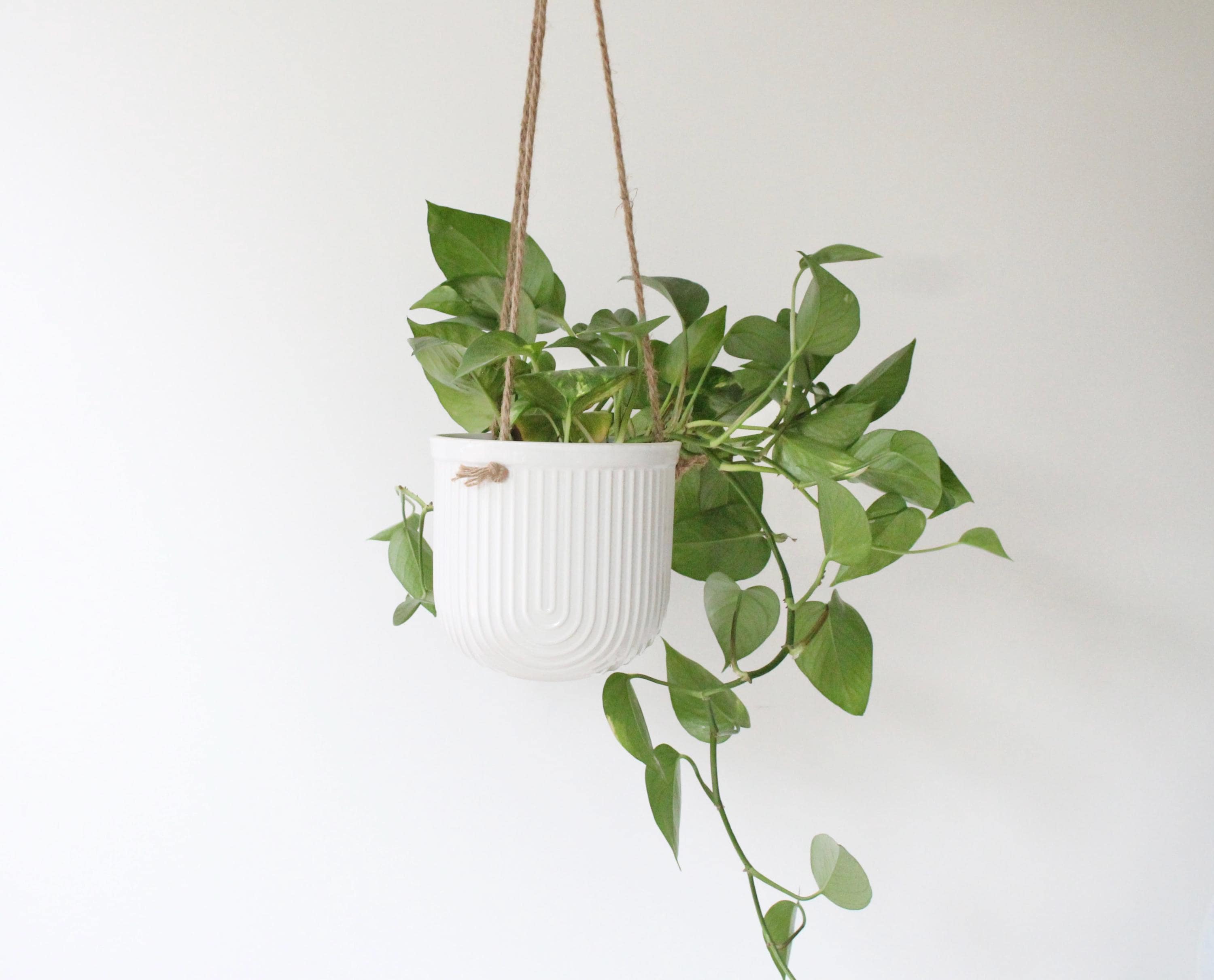 Arch White Hanging Ceramic Planter | Ribbed Indoor Plant Pot with Jute Rope | Modern Vertical Wall Vase