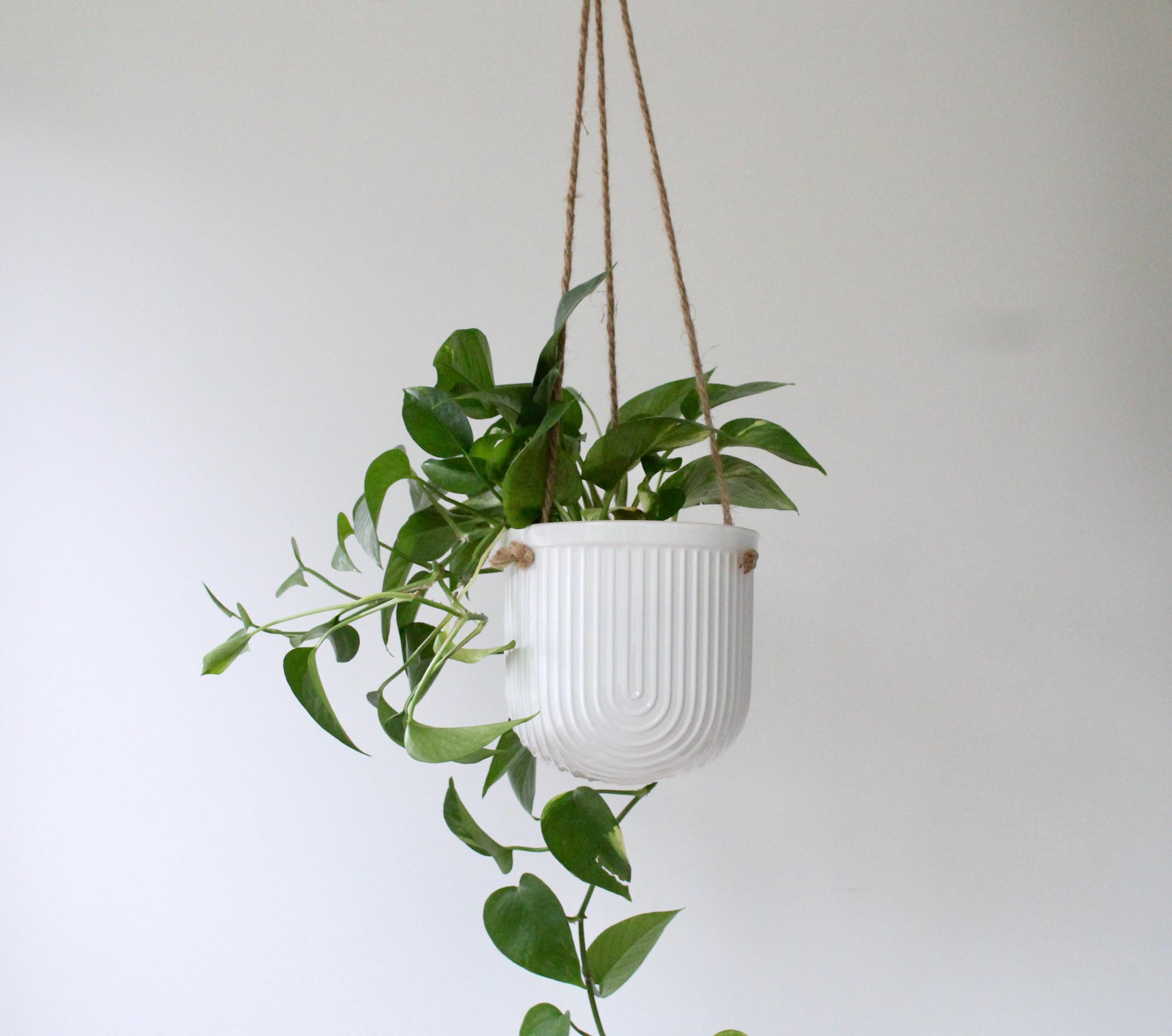 Arch White Hanging Ceramic Planter | Ribbed Indoor Plant Pot with Jute Rope | Modern Vertical Wall Vase
