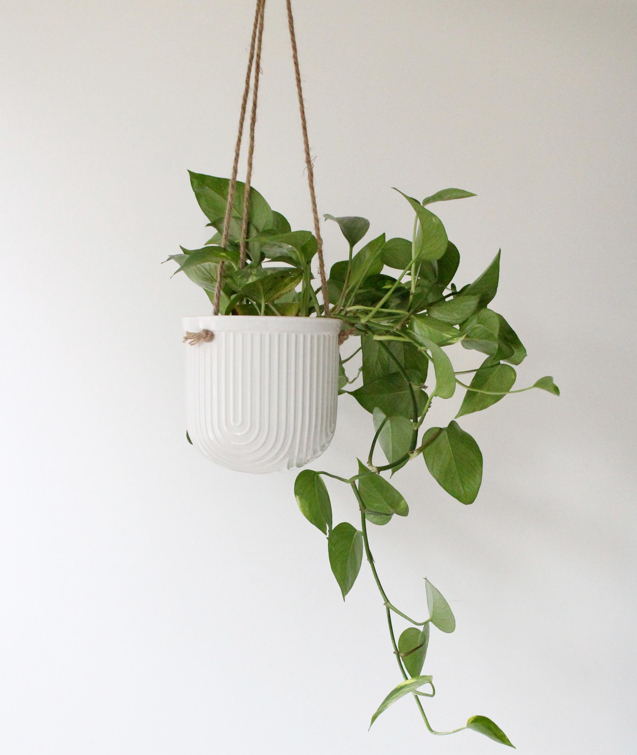 Arch White Hanging Ceramic Planter | Ribbed Indoor Plant Pot with Jute Rope | Modern Vertical Wall Vase