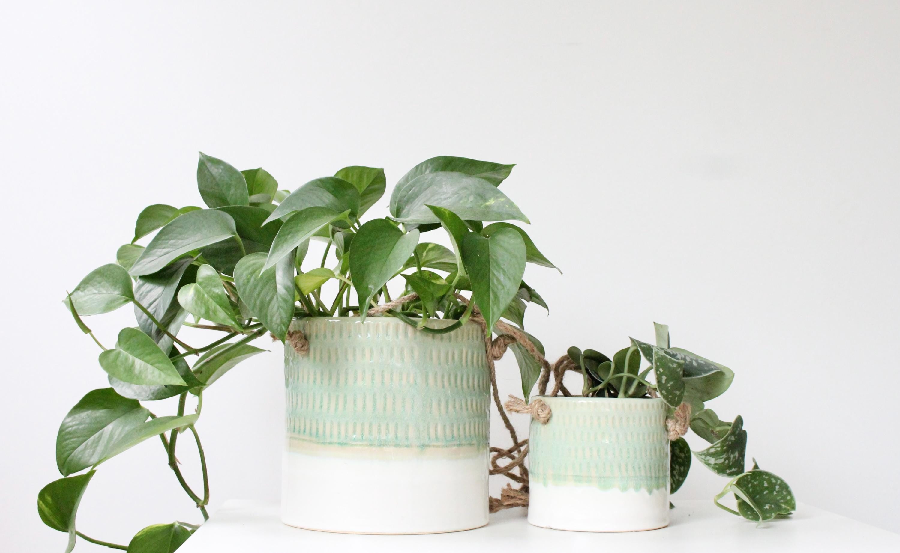 Hanging Ceramic Planter in Light Green and White glaze | Modern Boho Hanging Vase