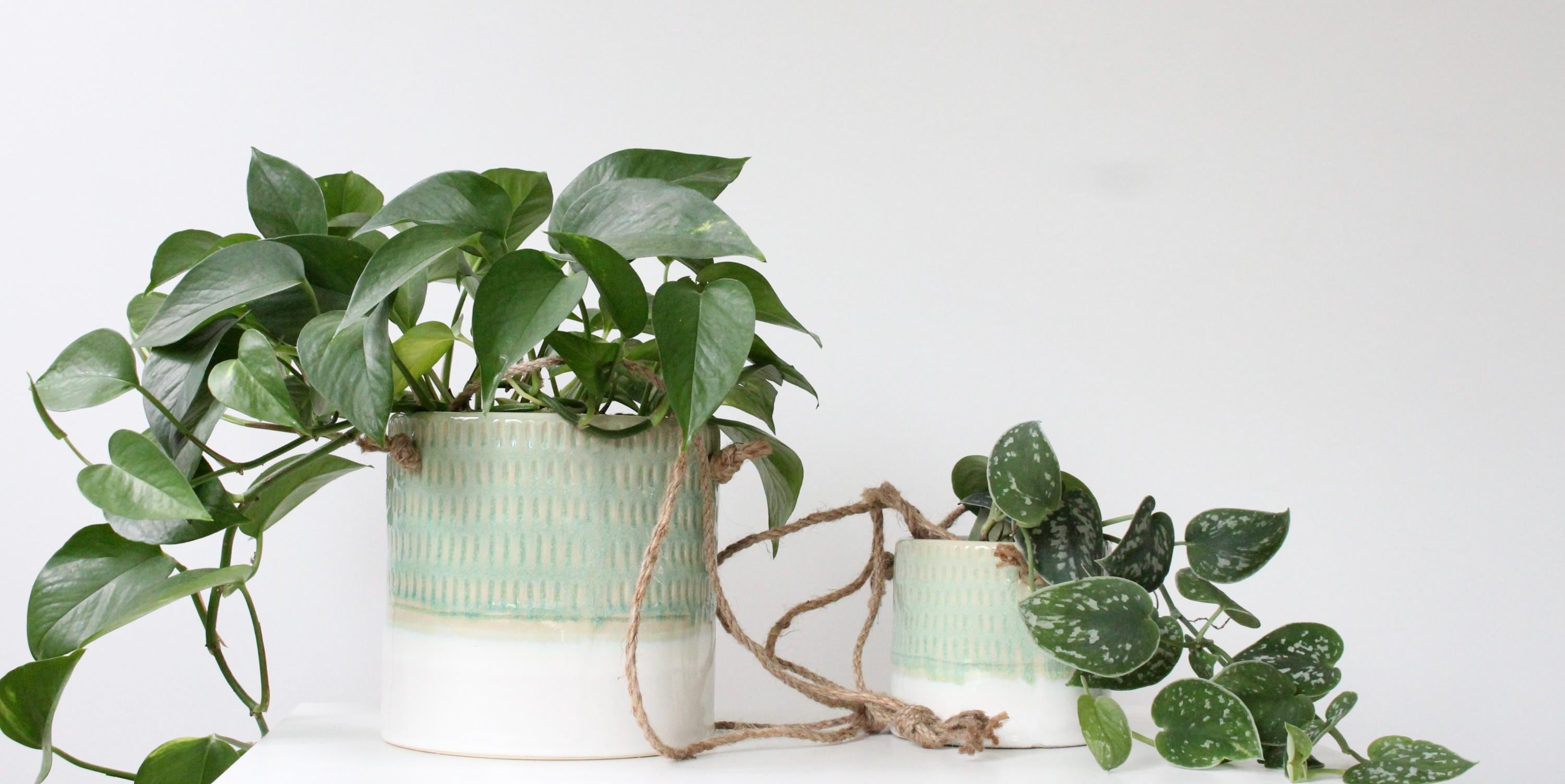 Hanging Ceramic Planter in Light Green and White glaze | Modern Boho Hanging Vase