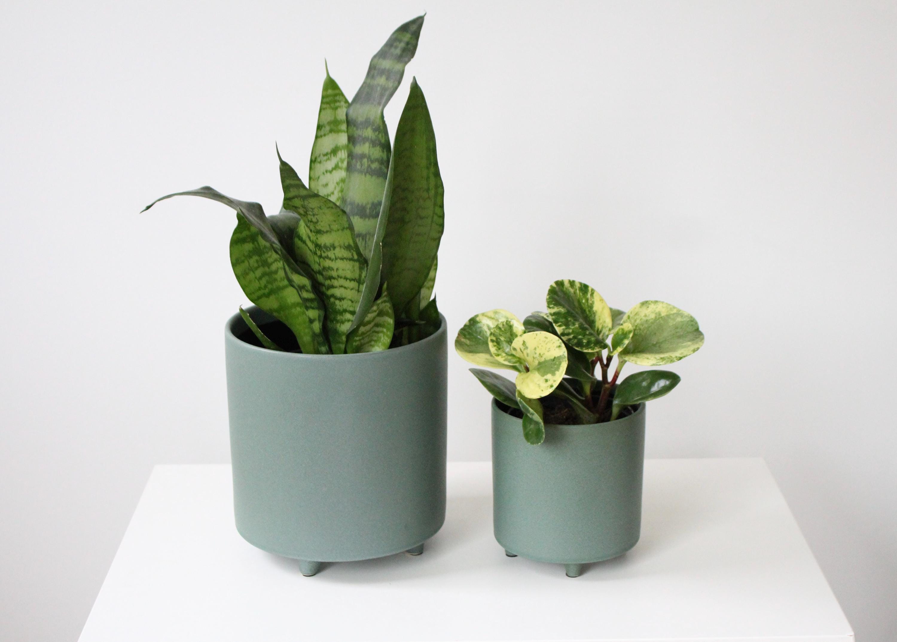 Emerald Green Ceramic Footed Plant Pot | Cute Unique Flower Pot | Green Modern Planter | Succulent Planter