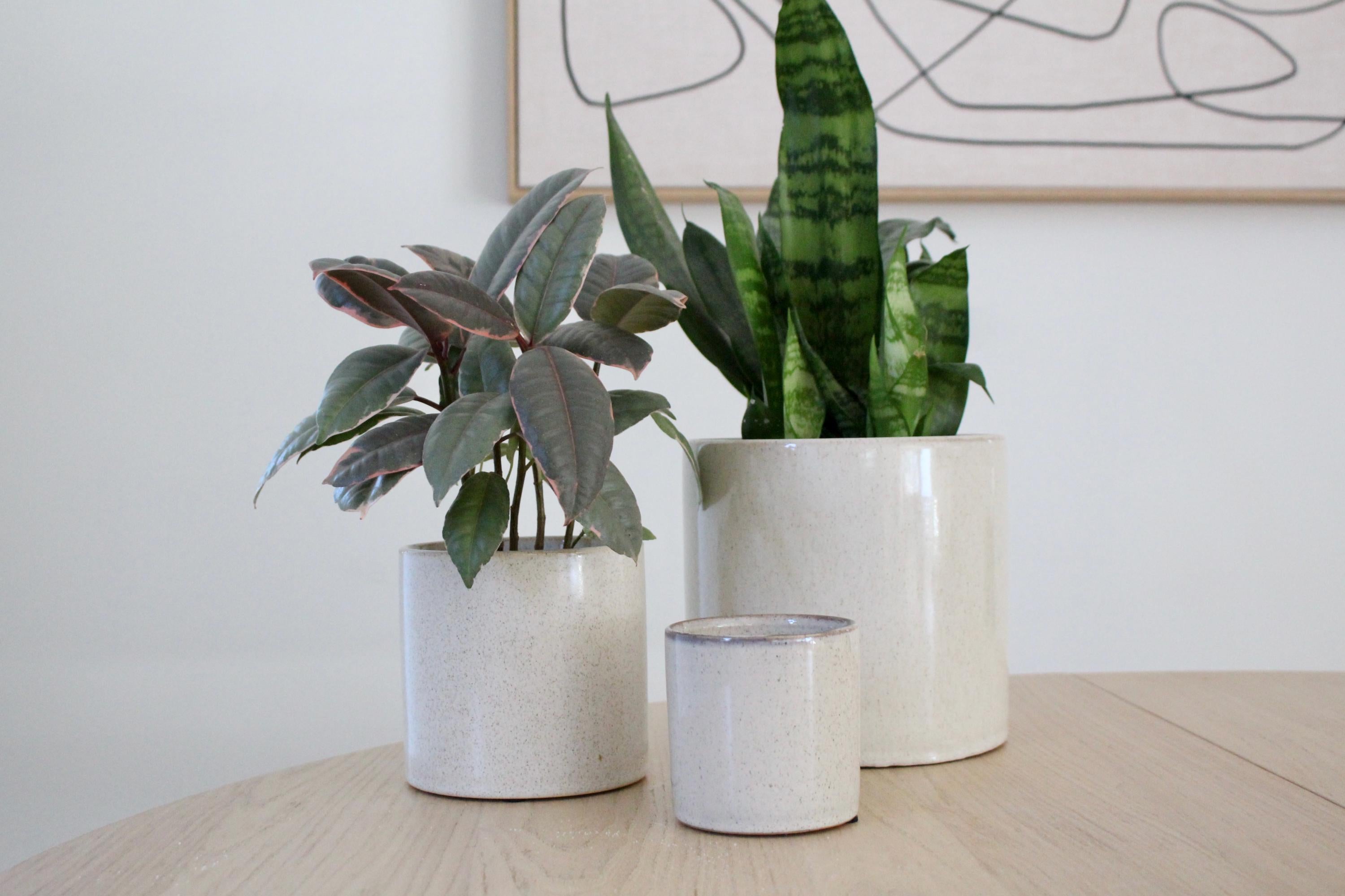 Speckled Minimalist Ceramic Plant Pot | Aesthetic Beige Succulent Planter | Boho Plant Decor