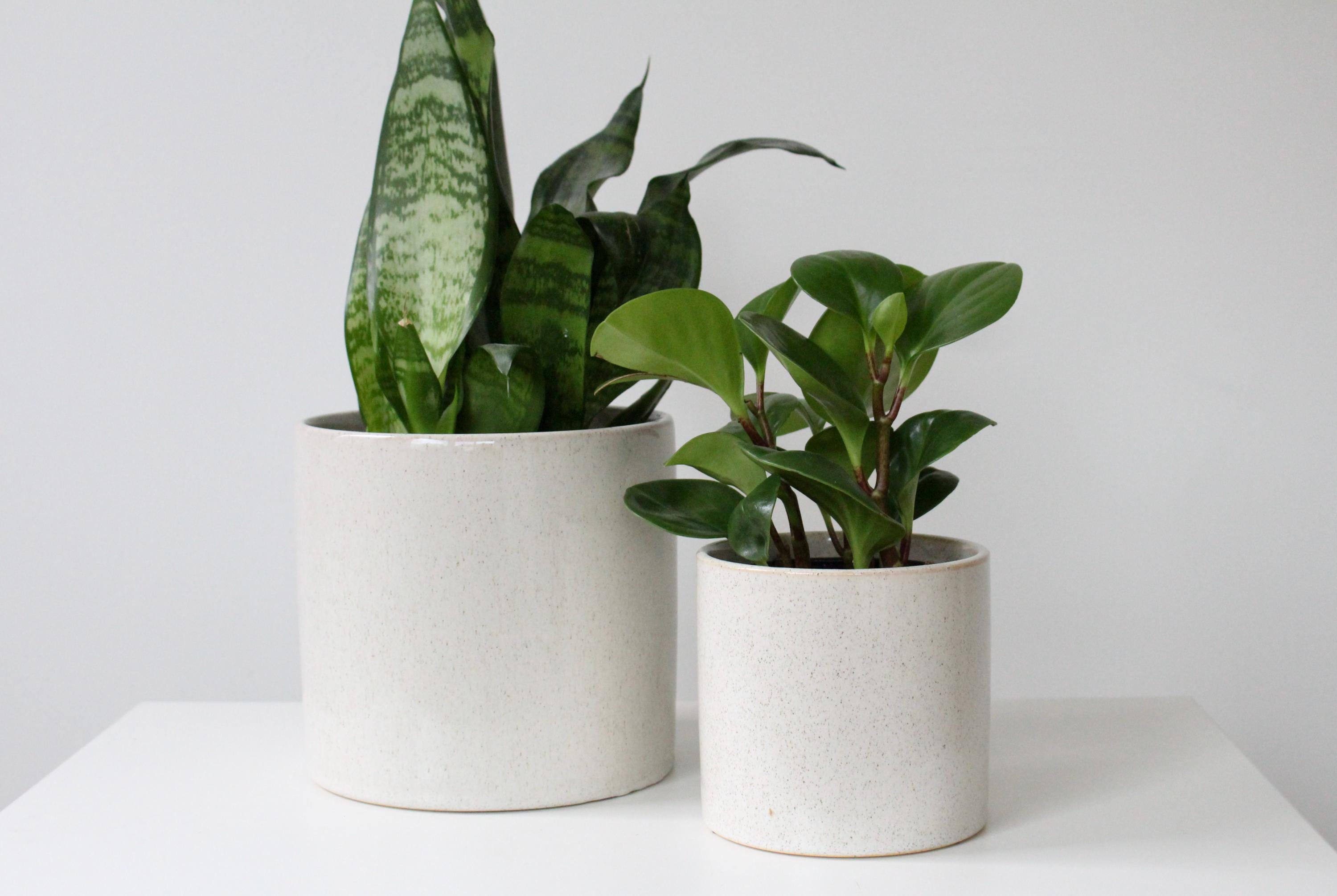 Soft Speckled Clay Planter – Earthy Beige Ceramic Pot for Modern, Japandi & Boho Interiors – Calm Decor for Shelves and Plants
