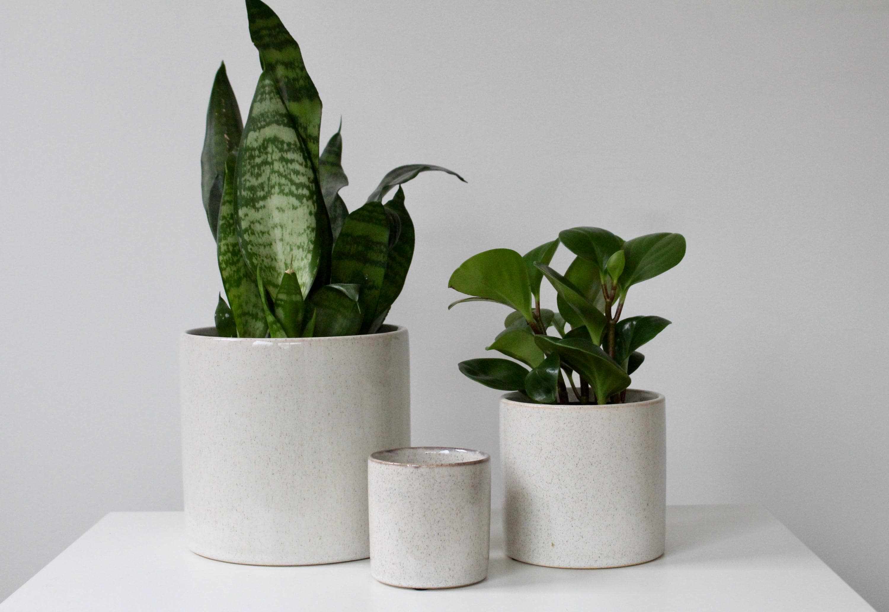 Soft Speckled Clay Planter – Earthy Beige Ceramic Pot for Modern, Japandi & Boho Interiors – Calm Decor for Shelves and Plants