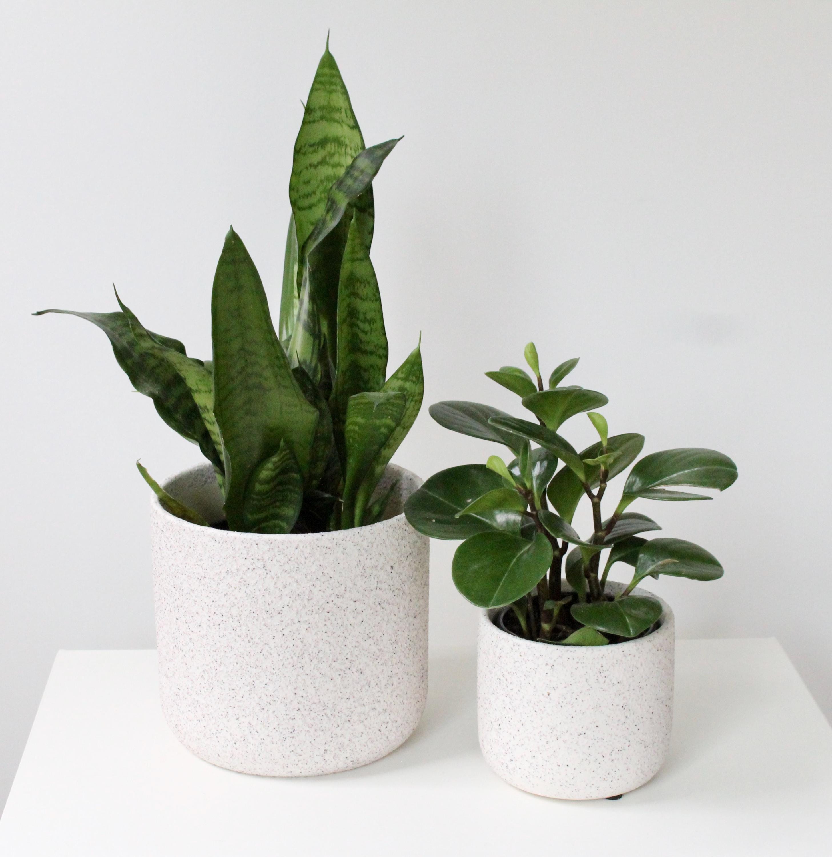 White Speckled Ceramic Planter | Modern Handmade Original Pot | Neutral Textured Indoor Plant Decor
