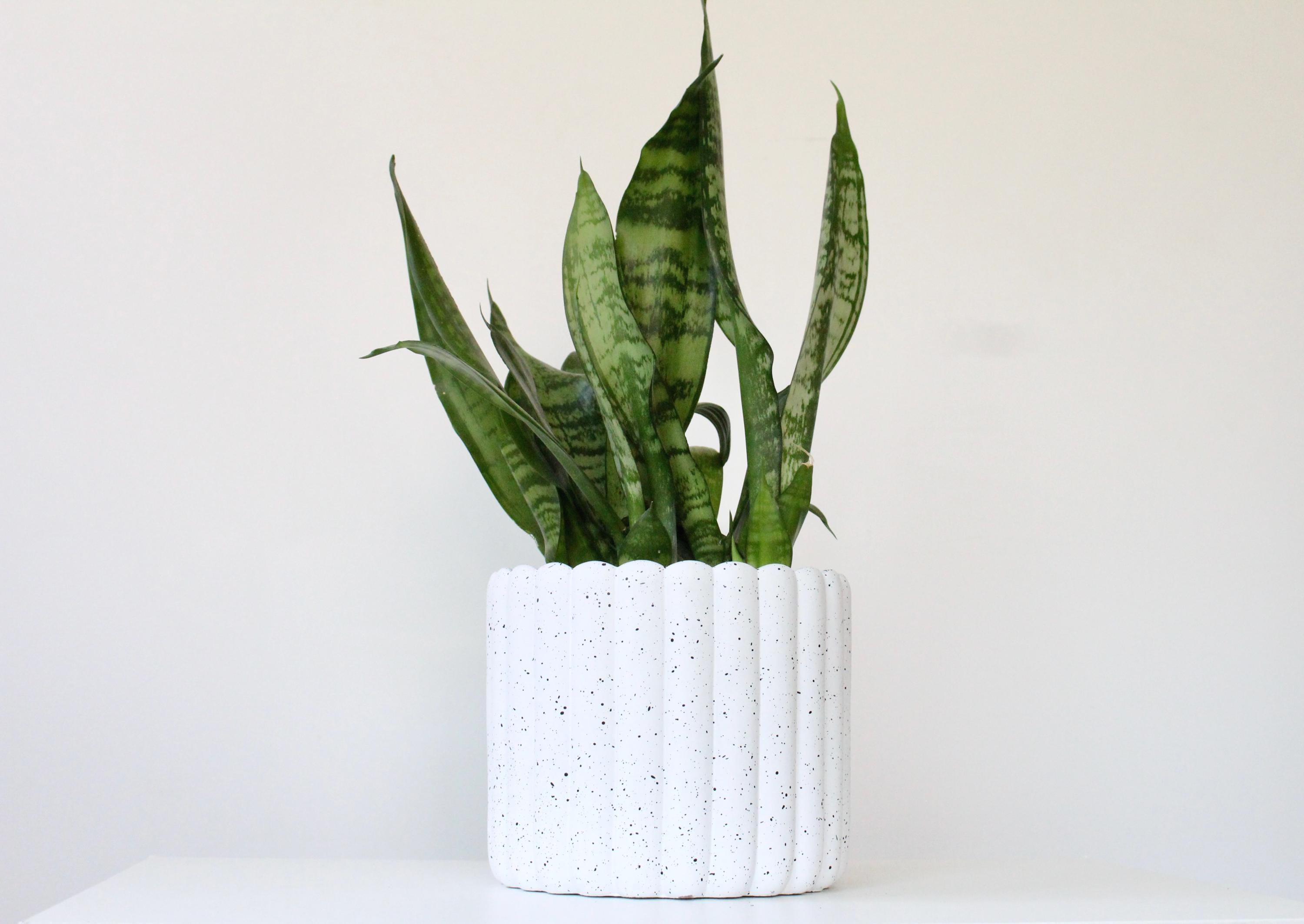 Scalloped Cement Planter | White Speckled Modern Pot for Indoor Plants, Boho Minimalist Home Decor