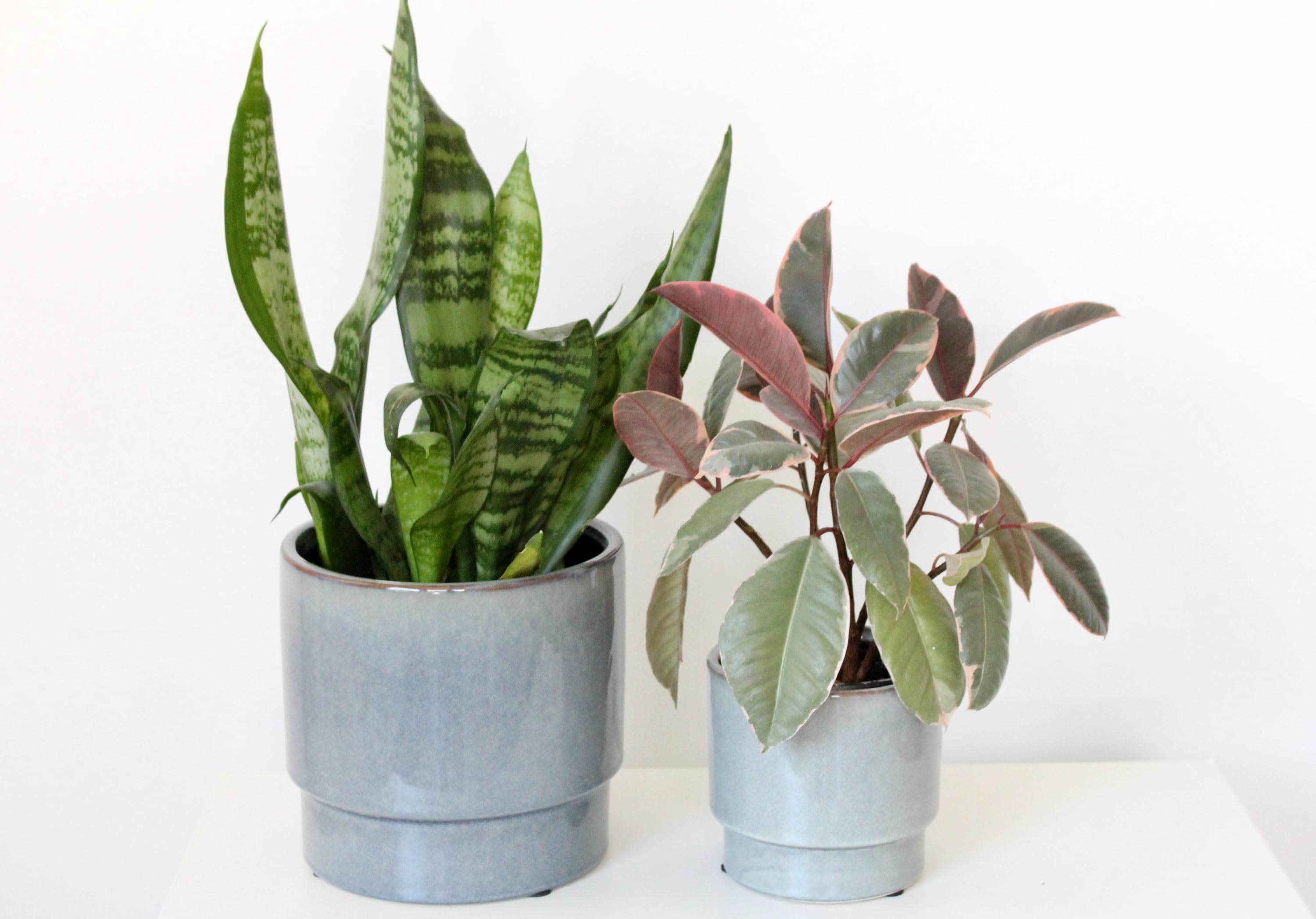 Modern Grey Blue Ceramic Planter | Glossy Indoor Pot for Houseplants, Succulents, or Shelf Decor
