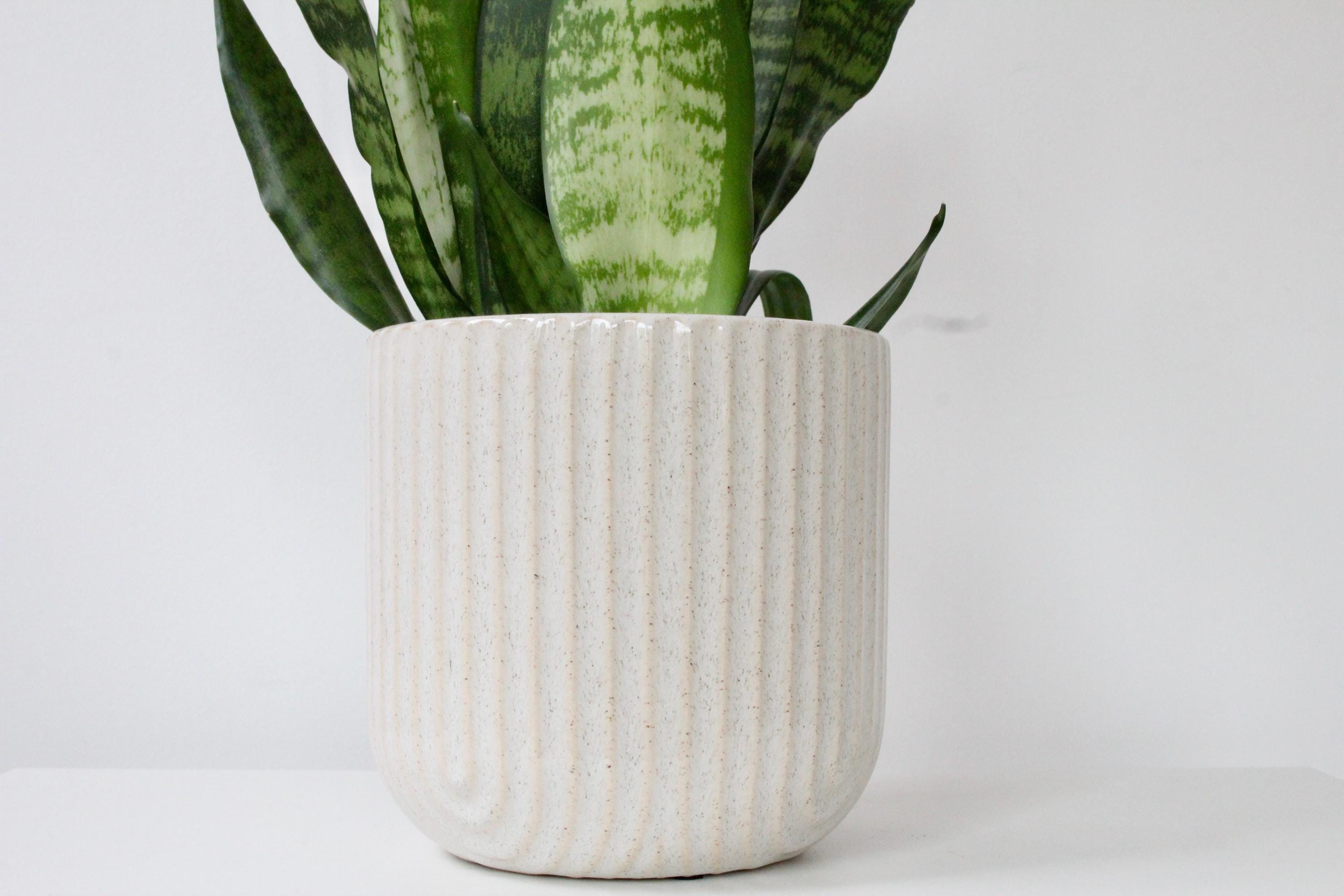 Ribbed Arch Speckled Ceramic Flower Vase | Beige Scallop Planter | Rounded Indoor Pot with Modern Texture
