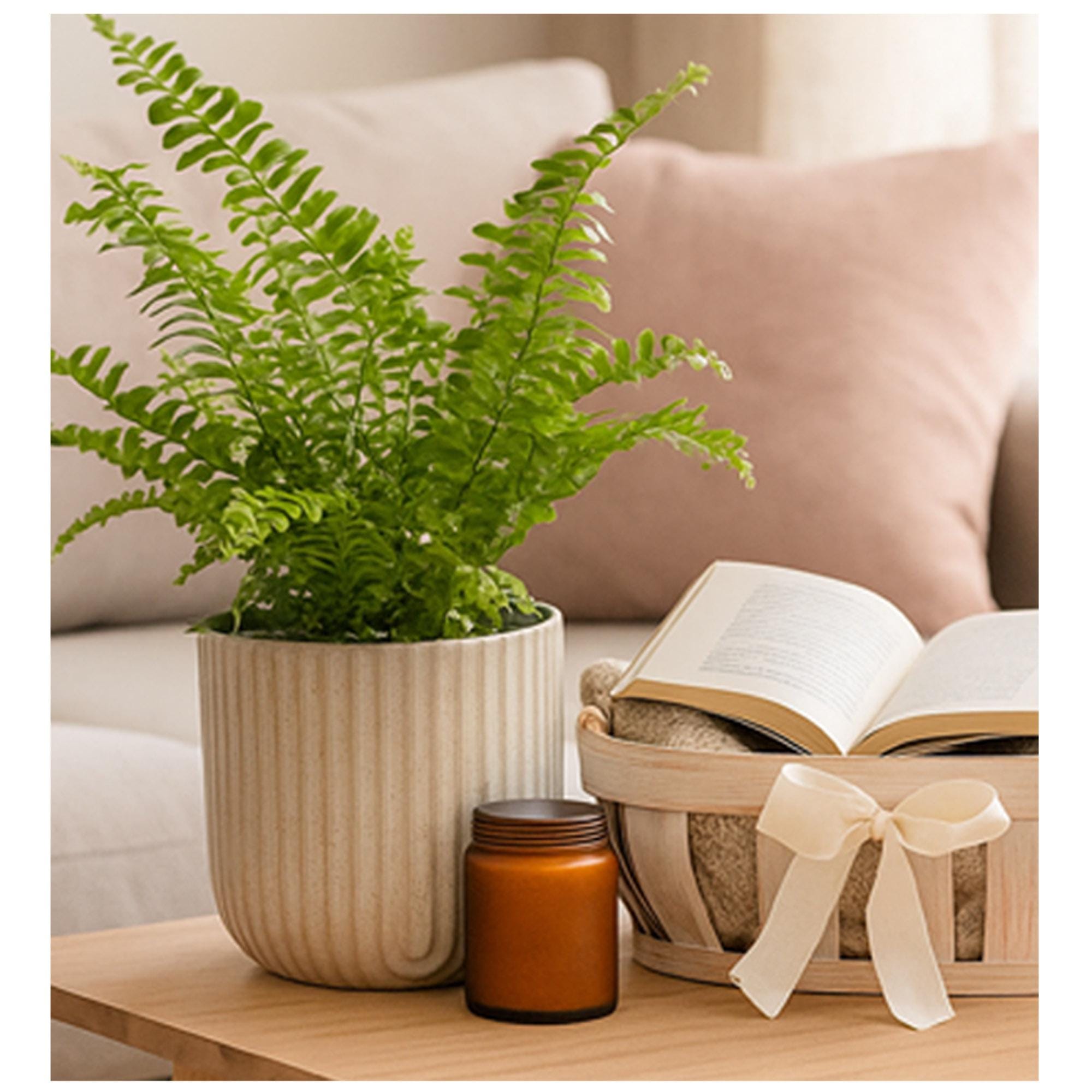 Ribbed Arch Speckled Ceramic Flower Vase | Beige Scallop Planter | Rounded Indoor Pot with Modern Texture