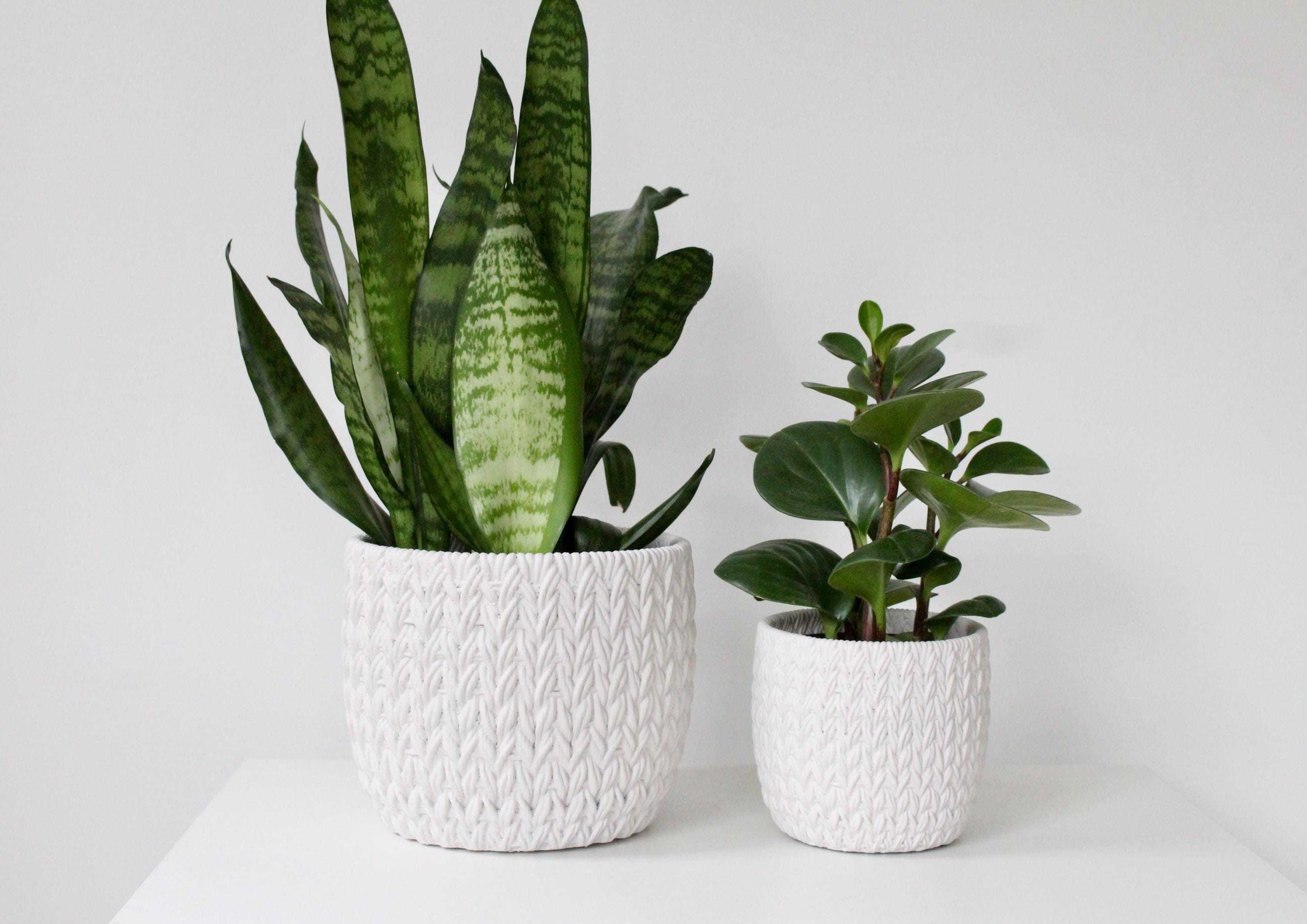 Cream Textured Cement Planter | Knit-Style Indoor Plant Pot for Modern or Cozy Home Decor