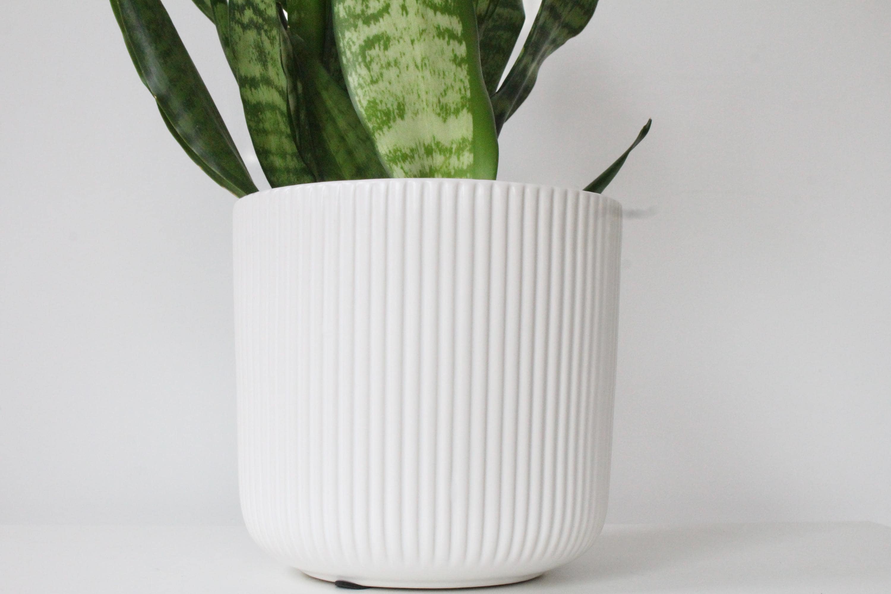 Glossy White Ceramic Planter | Modern Ribbed Indoor Plant Pot for Home or Office Decor