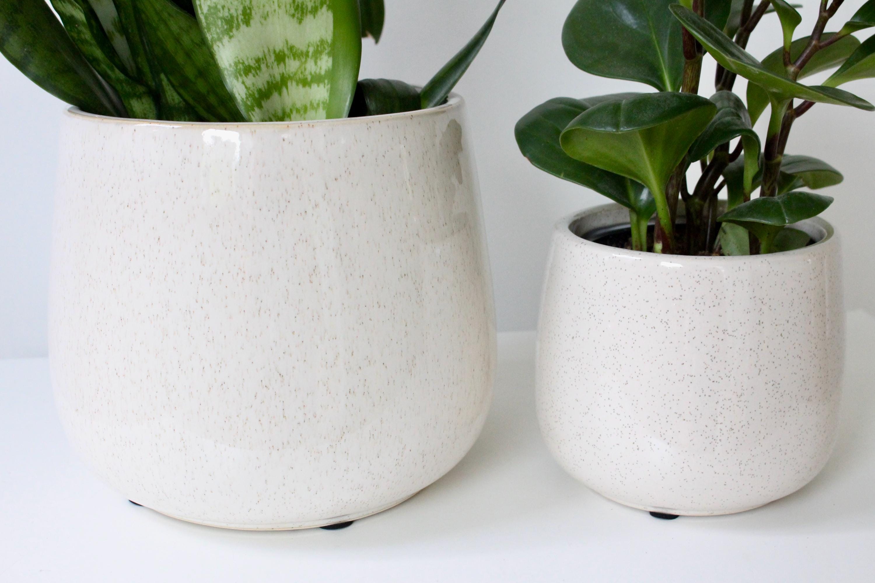 Speckled Beige Ceramic Planter | Rounded Glazed Plant Pot for Indoor Plants | Minimalist Boho Home Decor