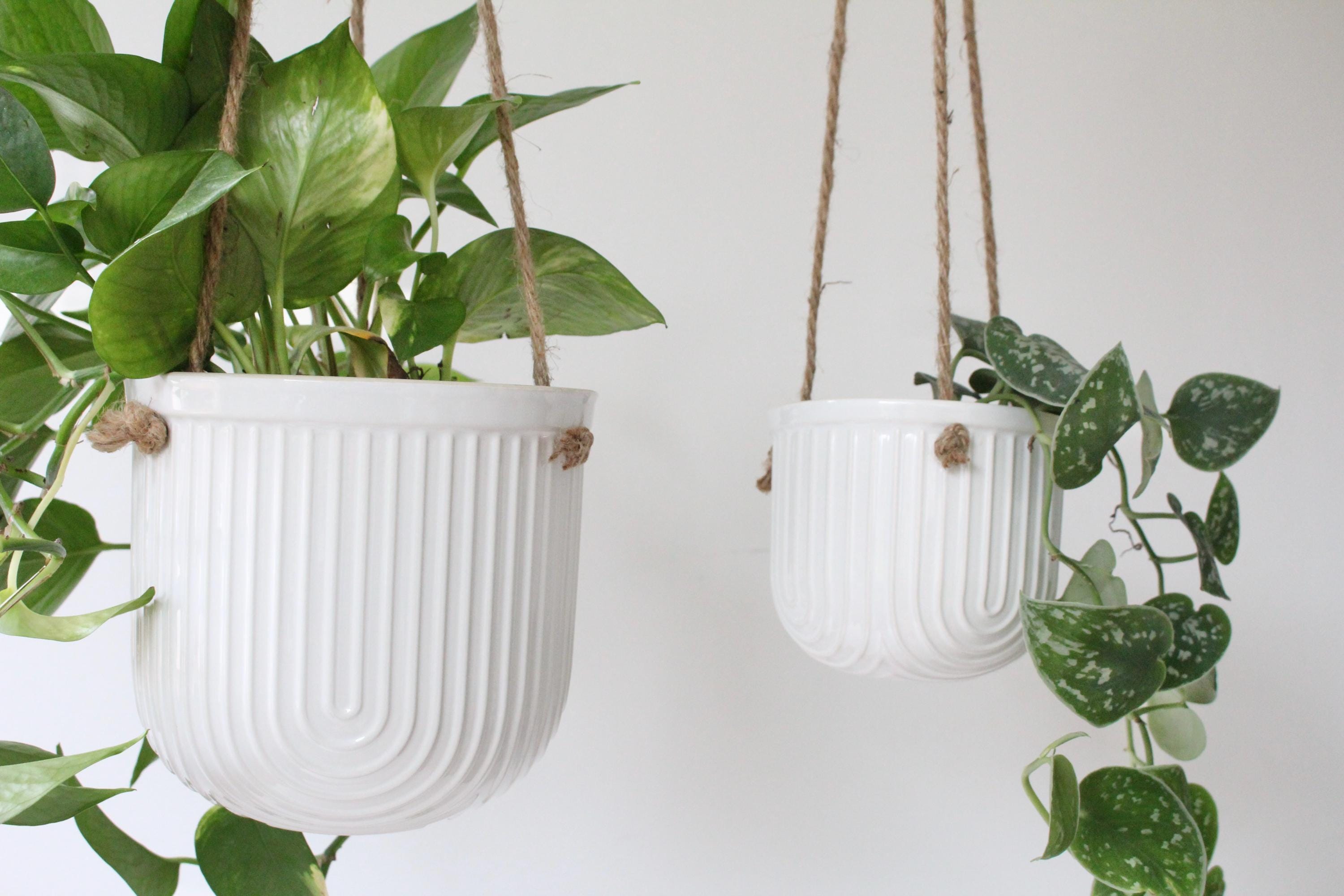 Arch White Hanging Ceramic Planter | Ribbed Indoor Plant Pot with Jute Rope | Modern Vertical Wall Vase