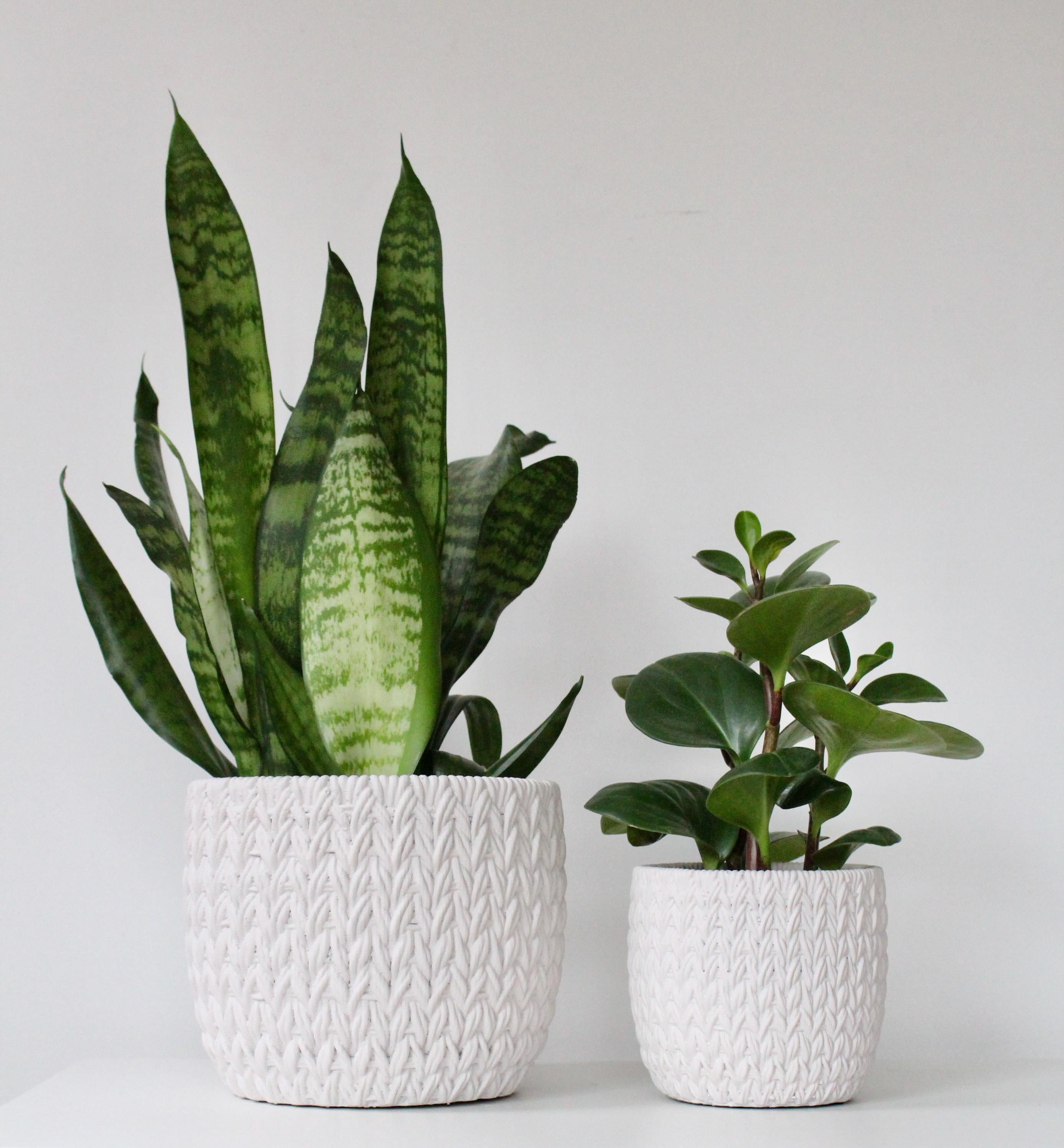 Cream Textured Cement Planter | Knit-Style Indoor Plant Pot for Modern or Cozy Home Decor