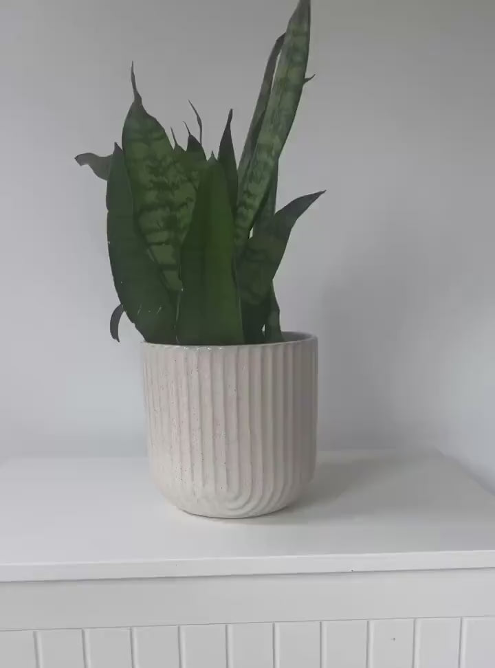 Ribbed Arch Speckled Ceramic Flower Vase