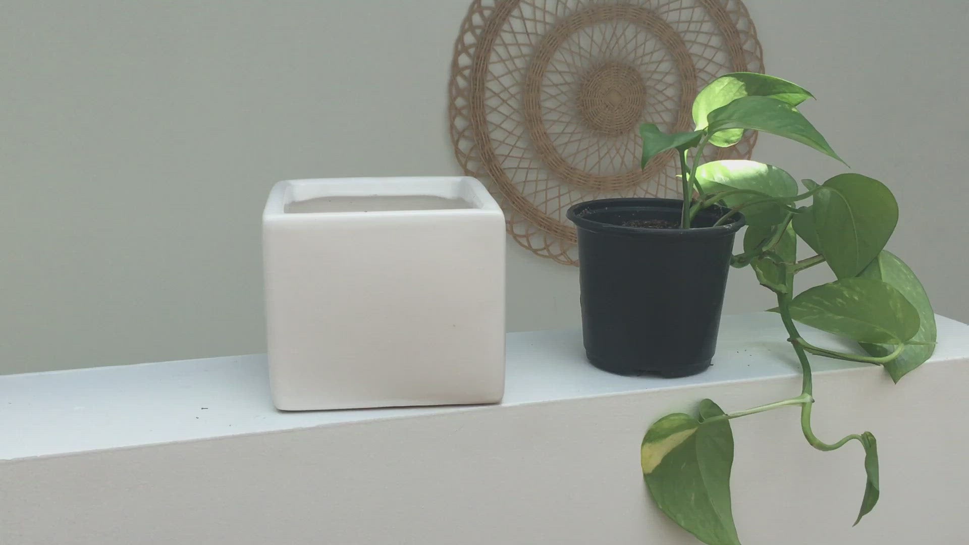 Large Cube Planter in Matte White