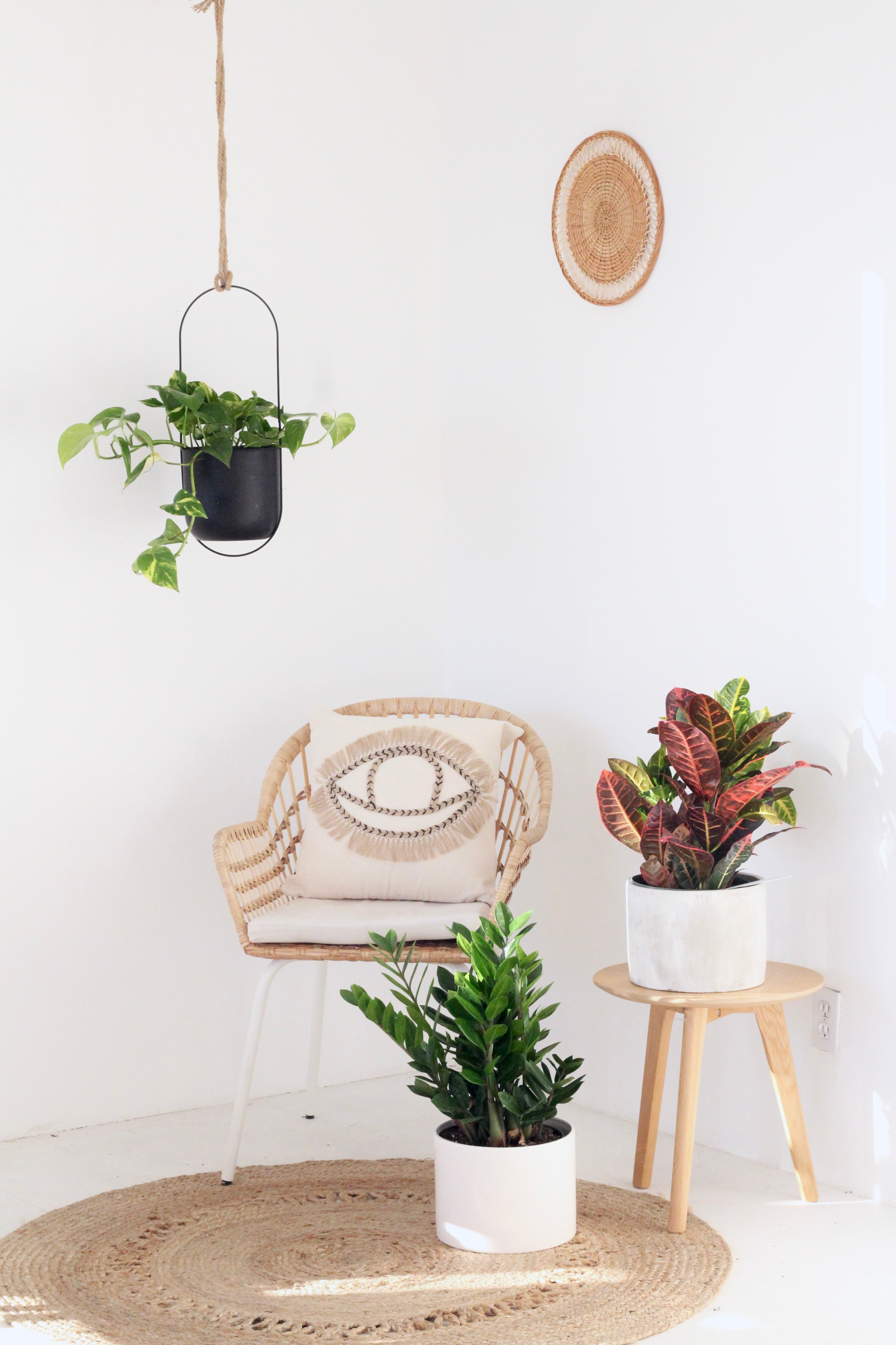 7 hanging planter Facebook Marketplace