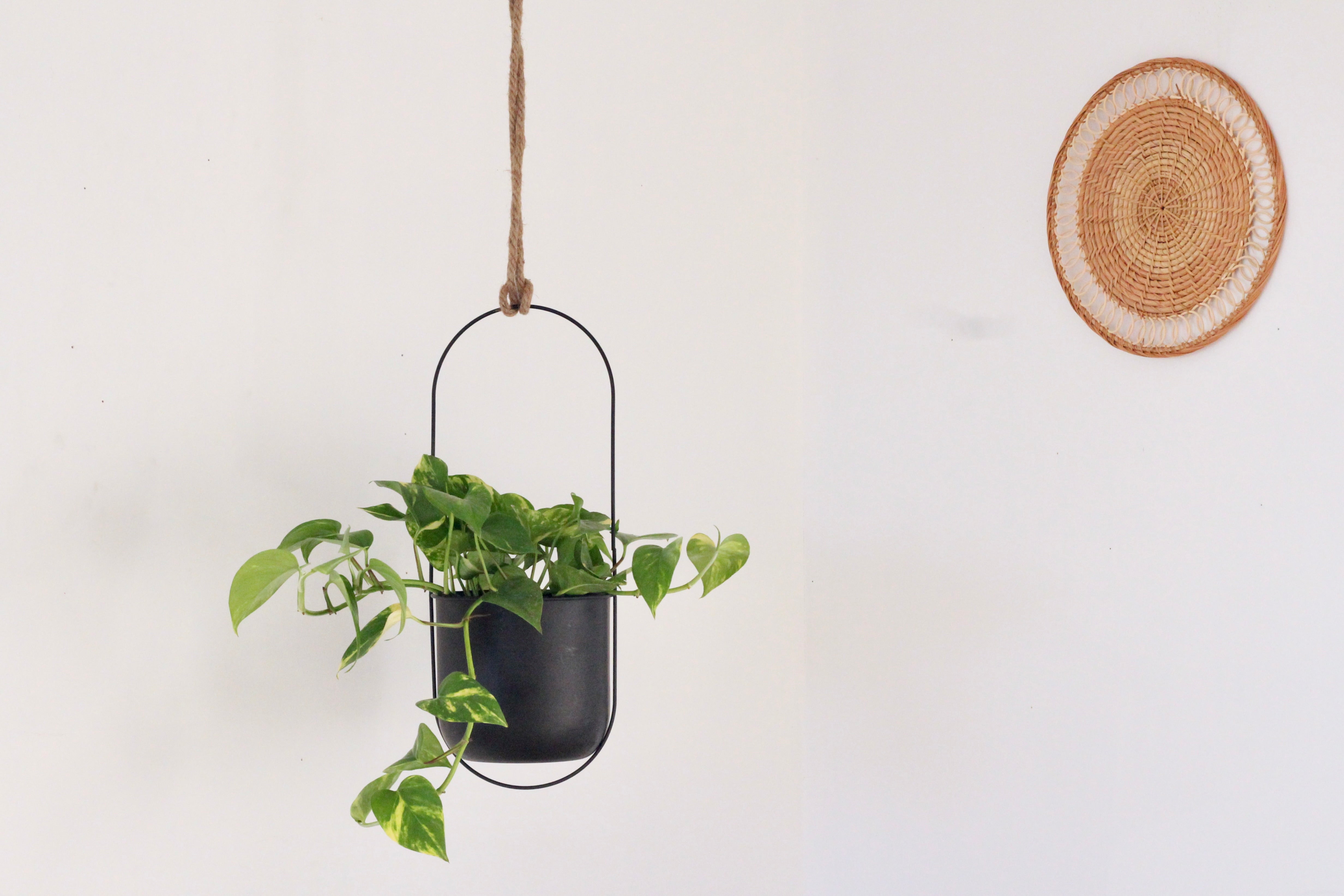 7 hanging planter Facebook Marketplace