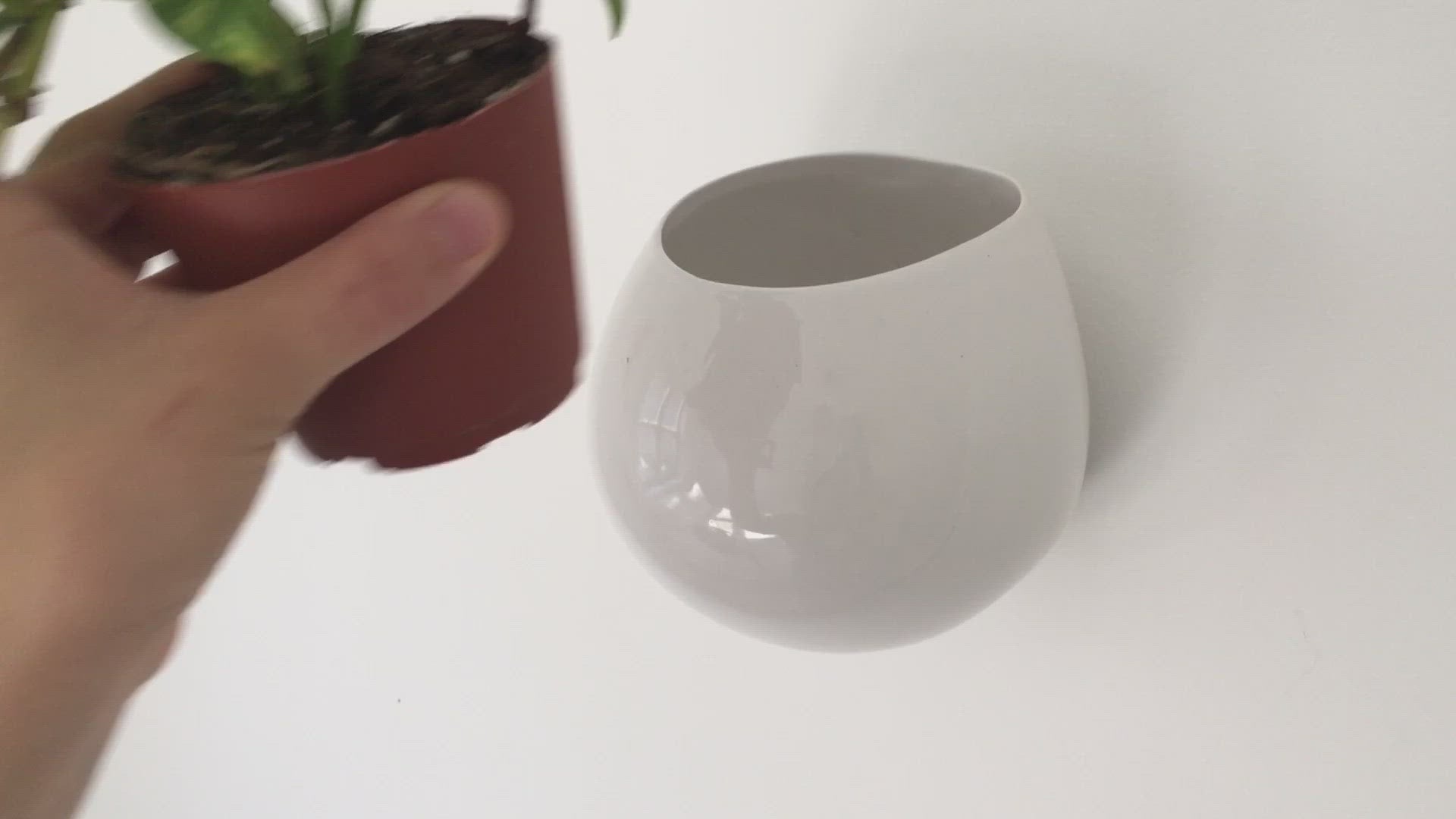 Mod Pod White Ceramic Wall Planter