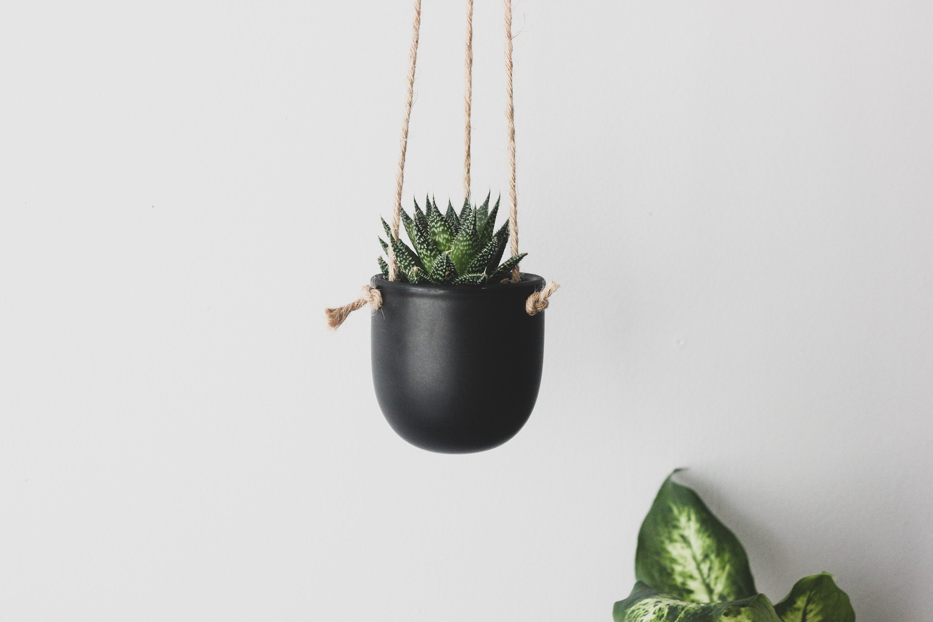matte black hanging planter Matte Black Hanging Planter Pot – SPROUT & ABOUT