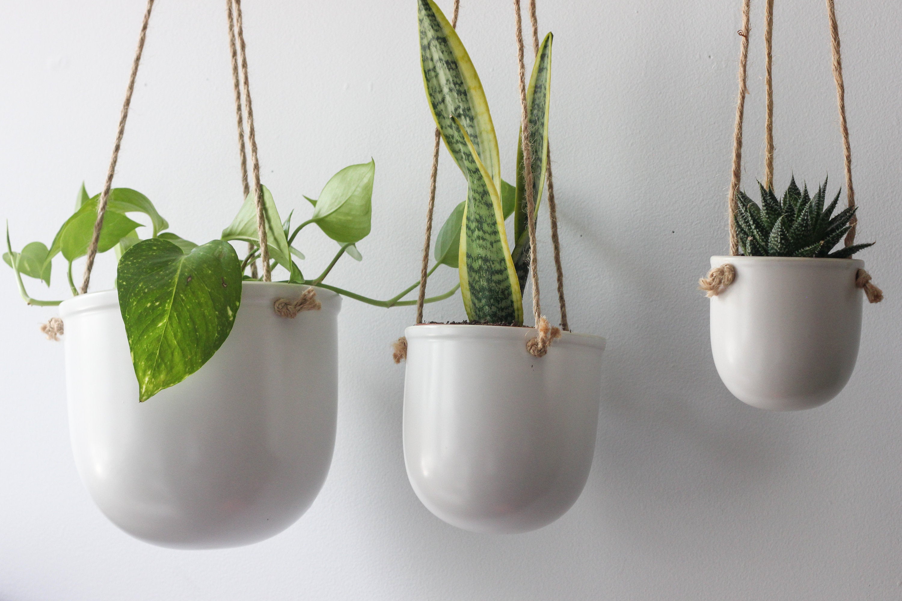 ceramic hanging planter australia Matte White Ceramic Hanging Planter – SPROUT & ABOUT