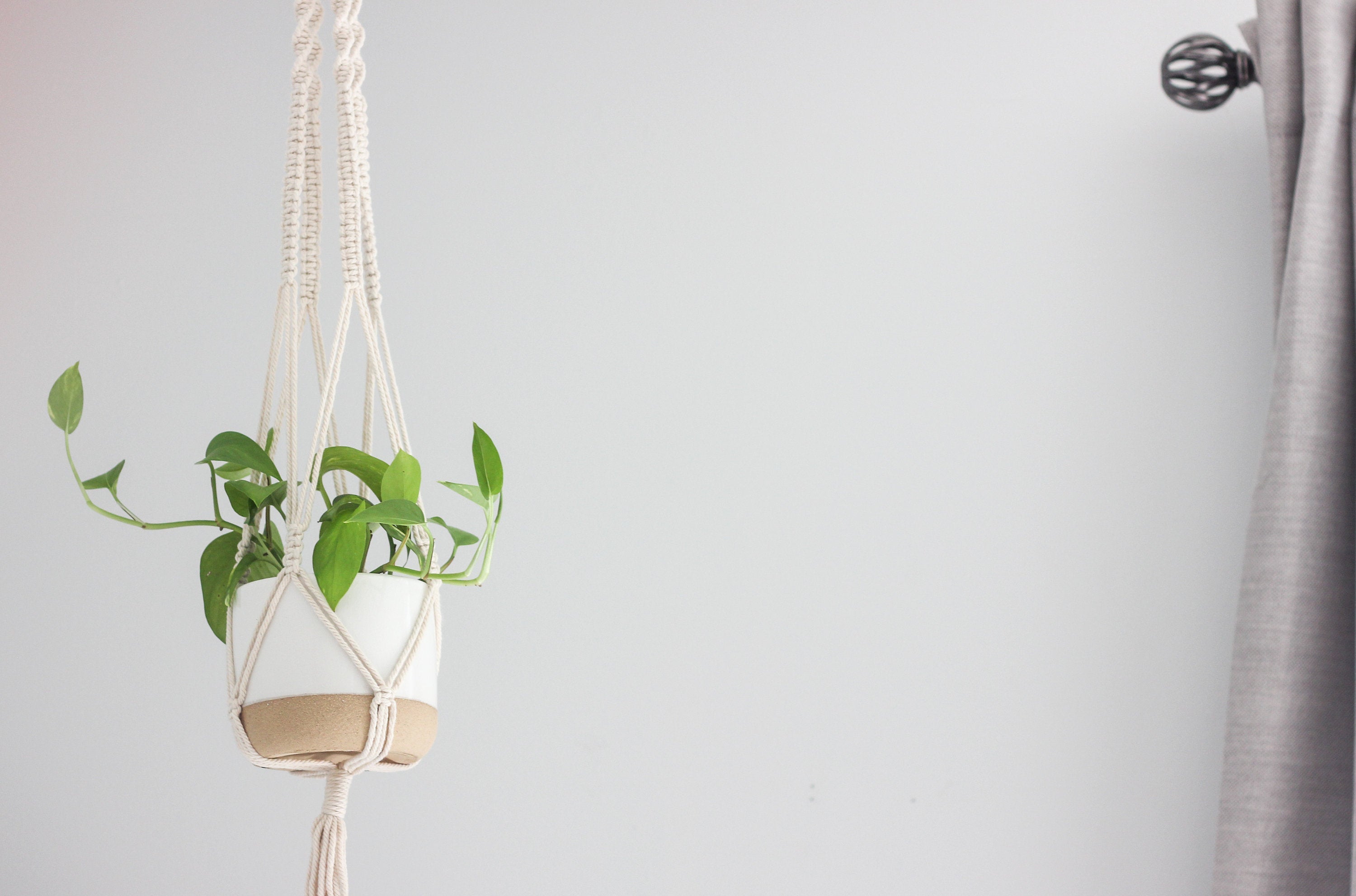 Boho Macrame Hanging Plant Holder in Cream