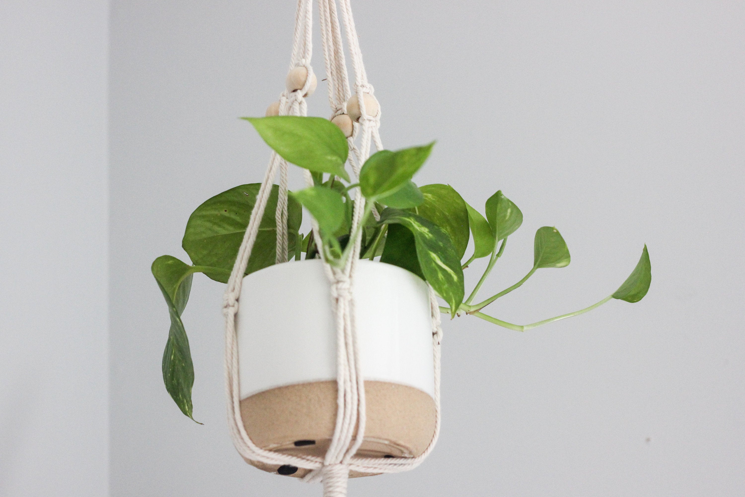 Boho Macrame Beaded Hanging Plant Holder in Cream