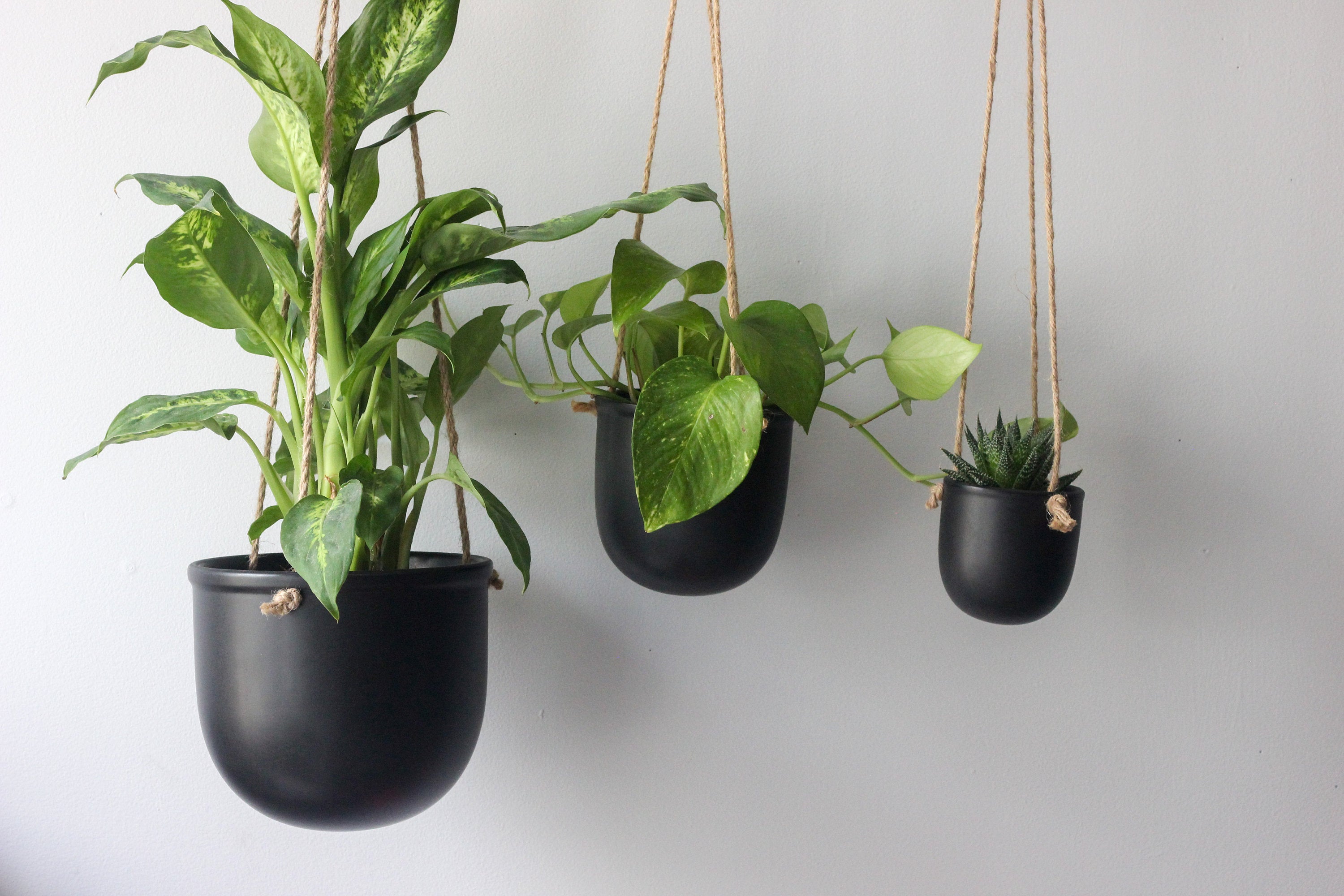 matte black hanging planter Matte Black Hanging Planter Pot
