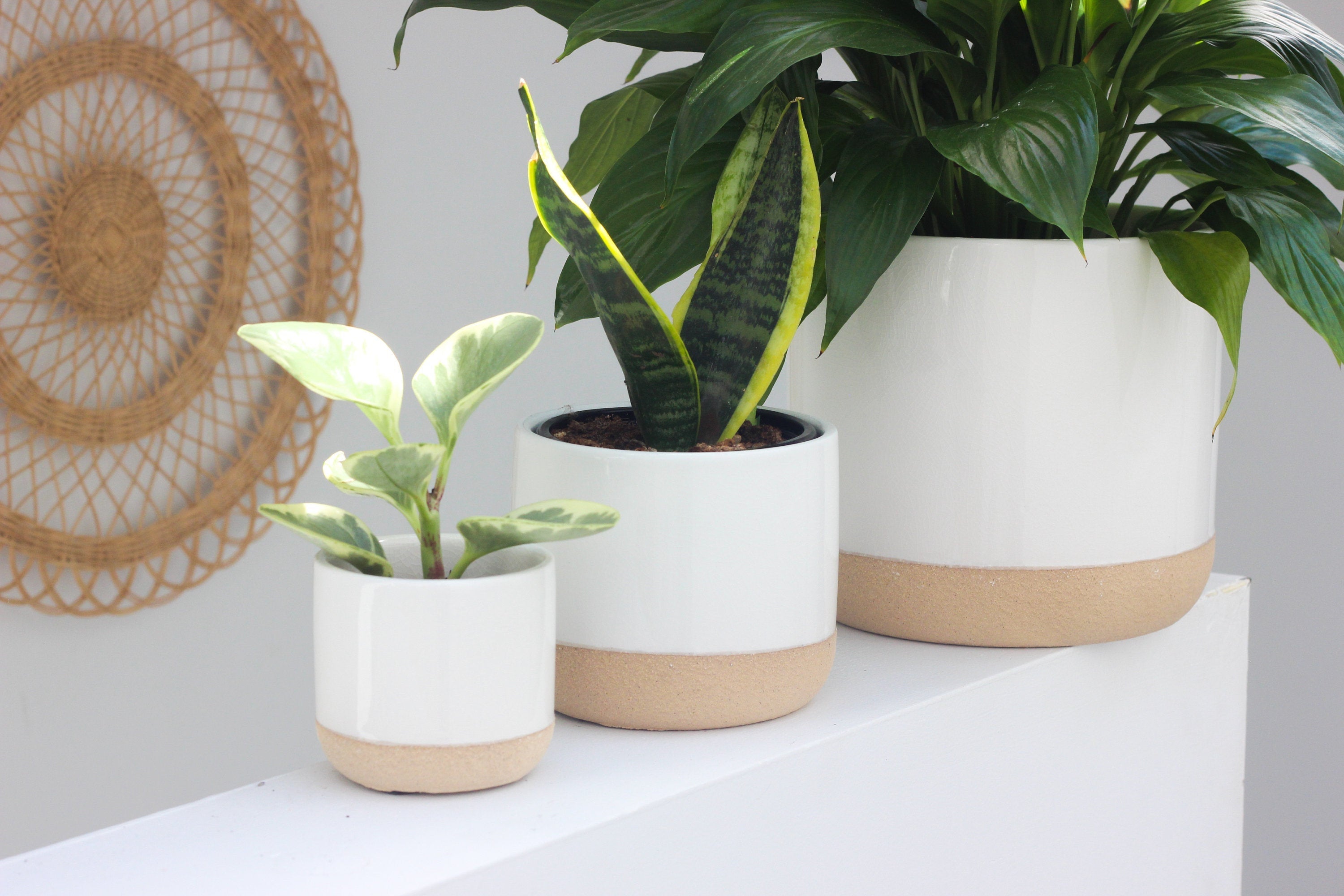 white plant pots Ceramic Planter Pot White on Beige – SPROUT & ABOUT