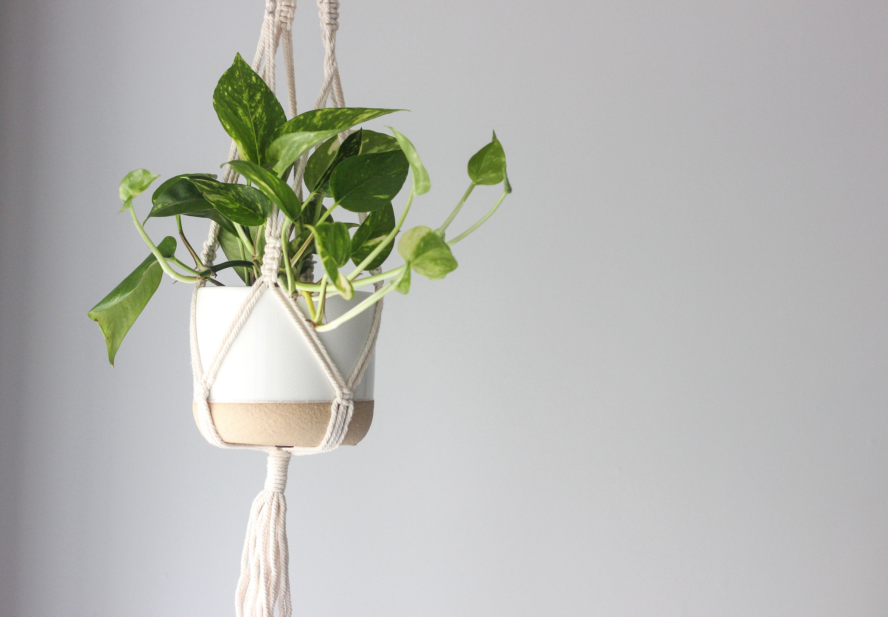 Boho Macrame Hanging Plant Holder in Cream