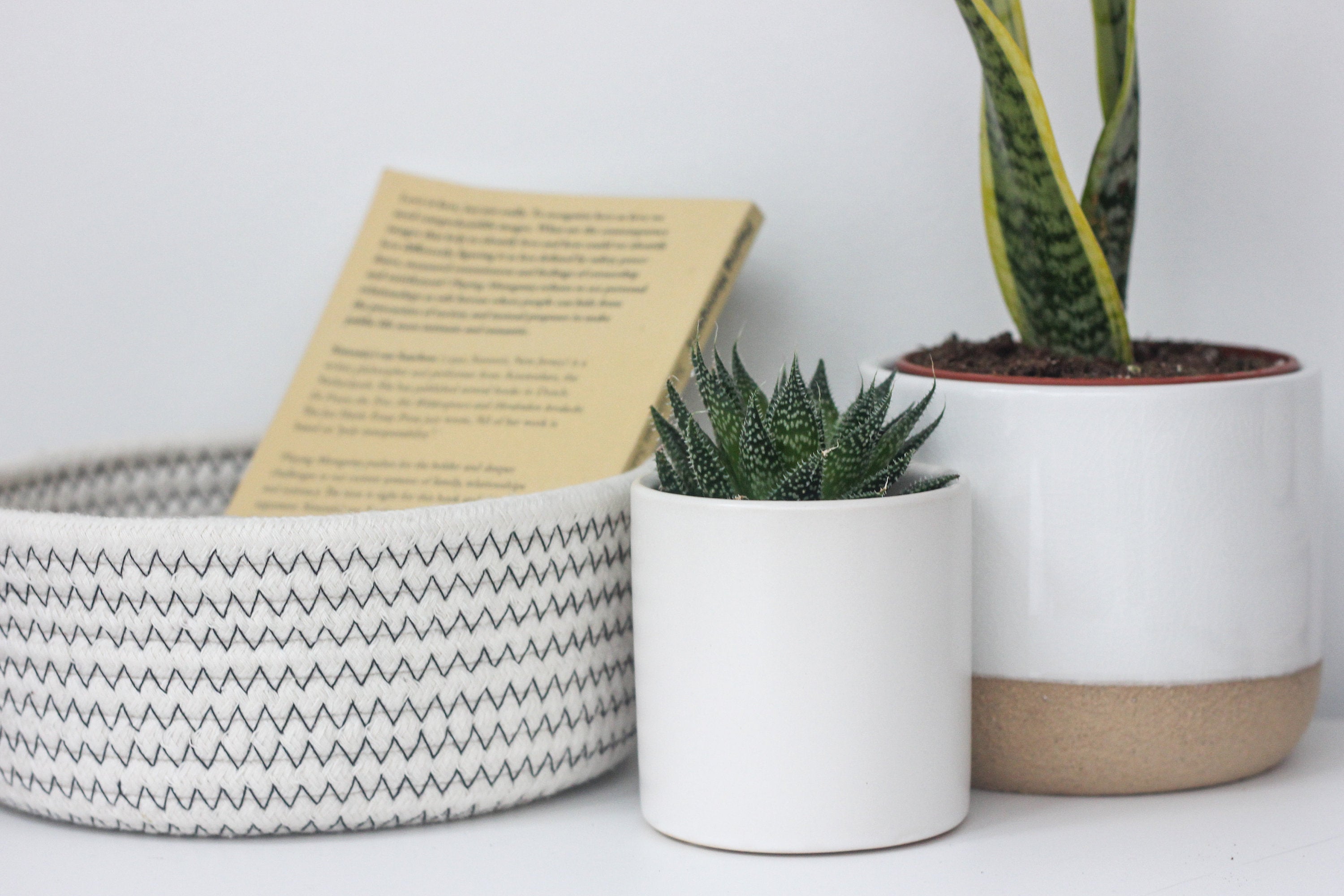 big white plant pot Ceramic Planter Pot White on Beige – SPROUT & ABOUT