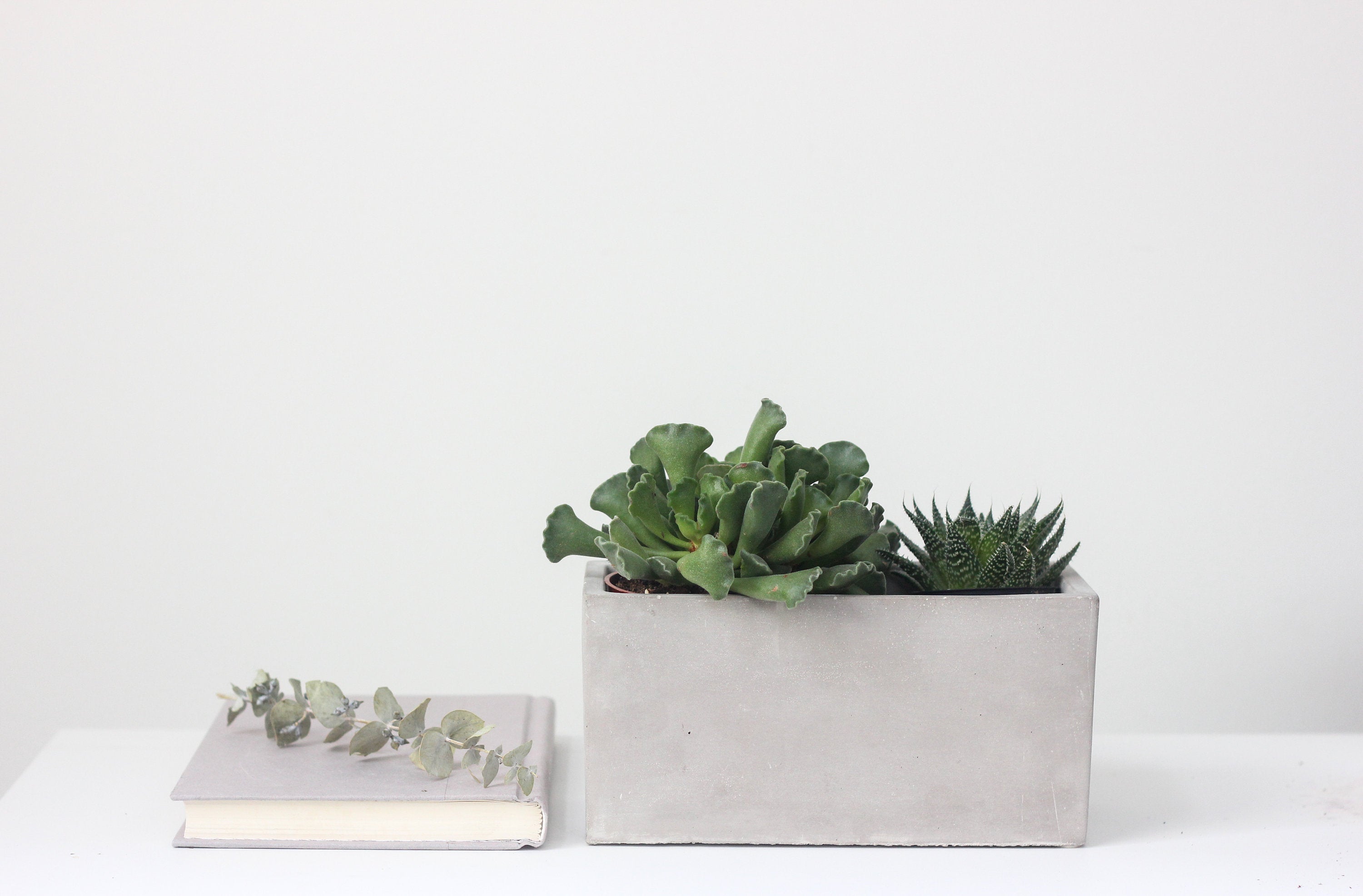 Concrete Rectangle Planter and Succulent Box