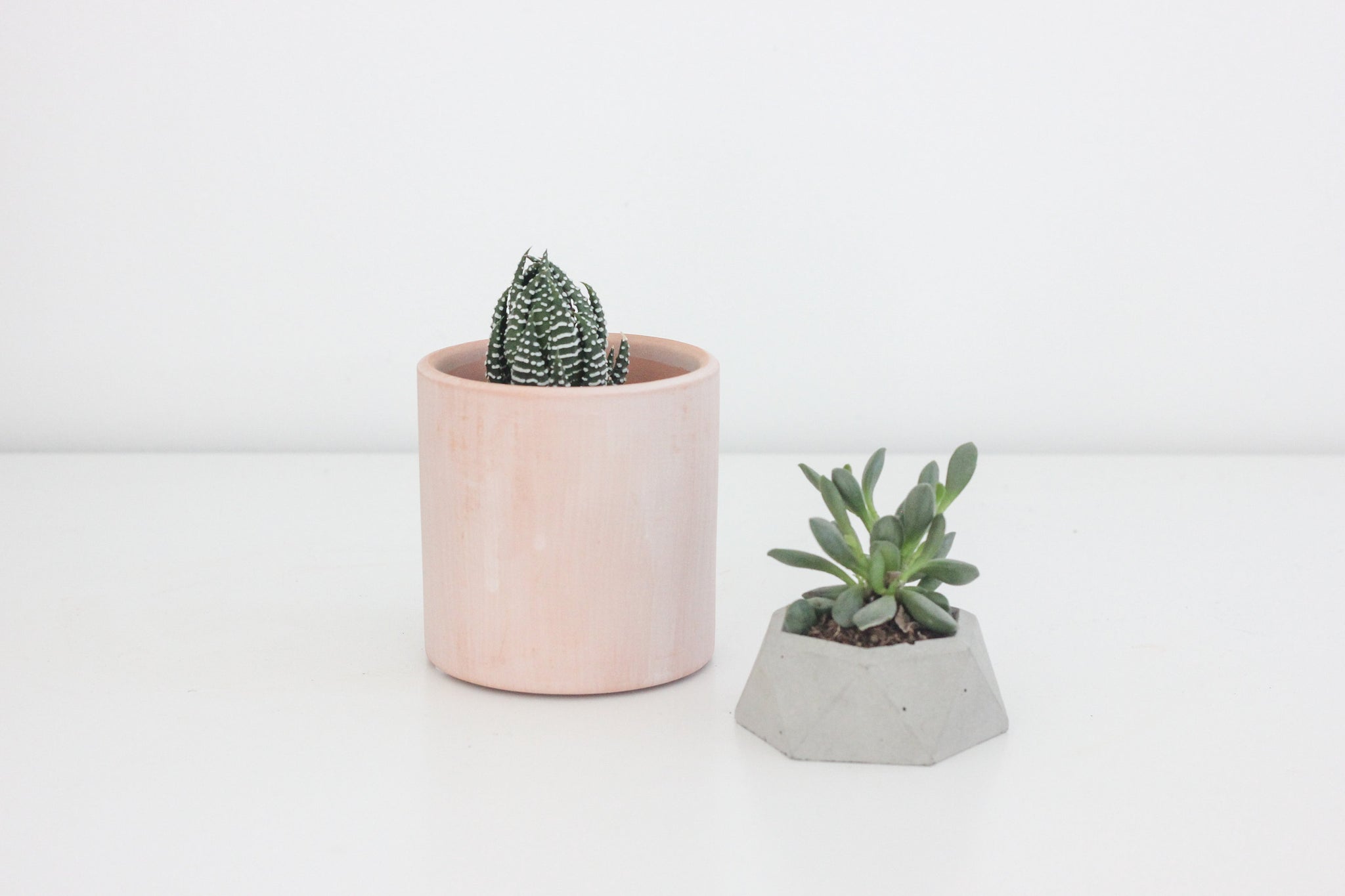 blush plant pot Terracotta Blush Pink Cylinder Planter – SPROUT & ABOUT