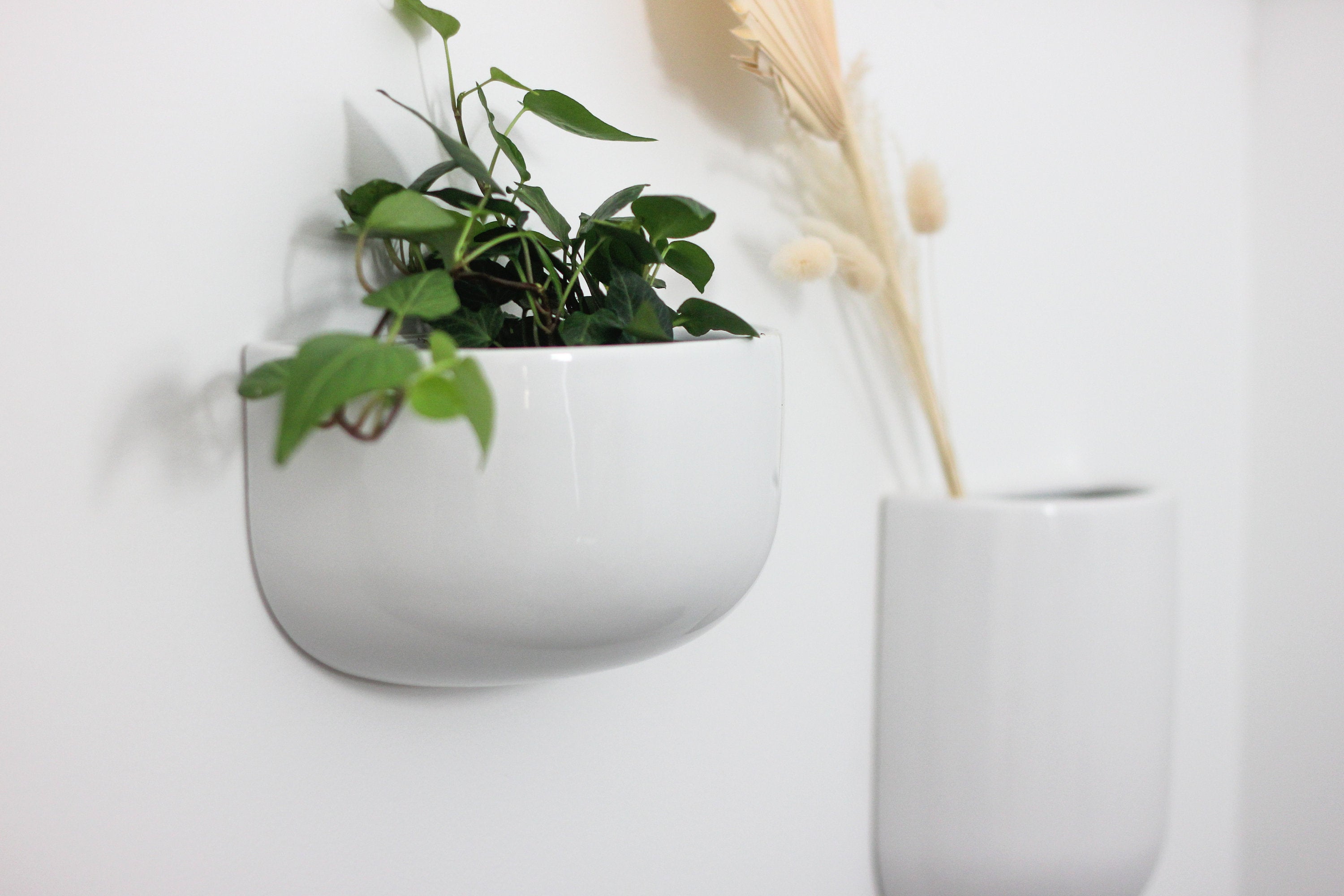 Wide Wall Vase Planter in White Ceramic